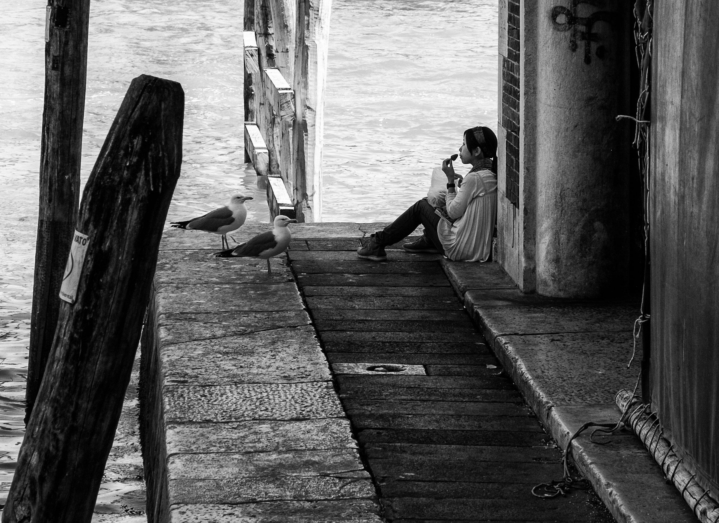 La donna che sussurra ai gabbiani...