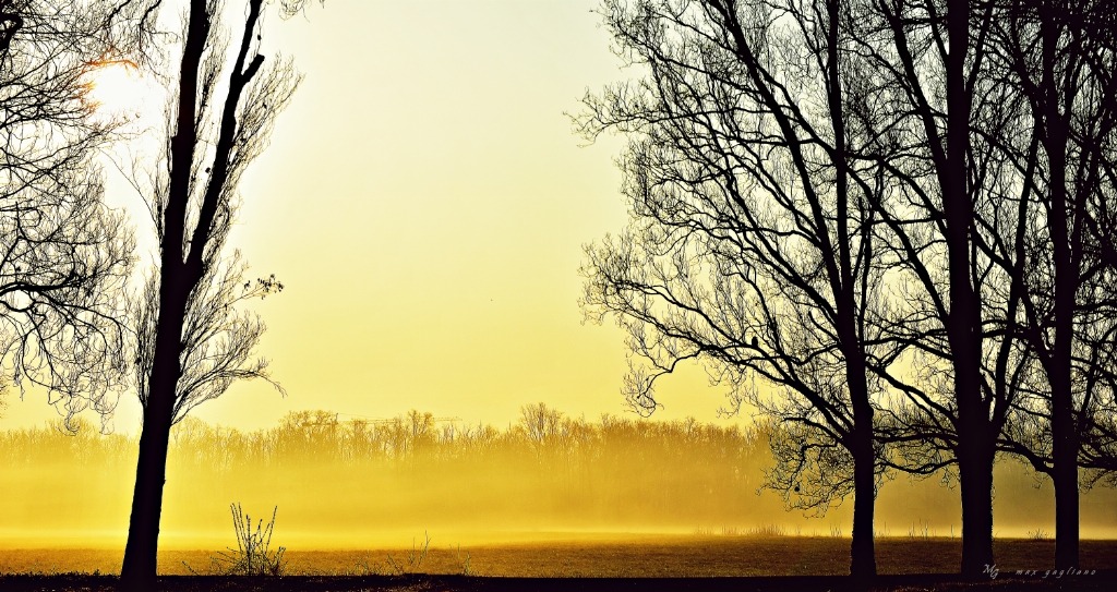 alba al parco di monza