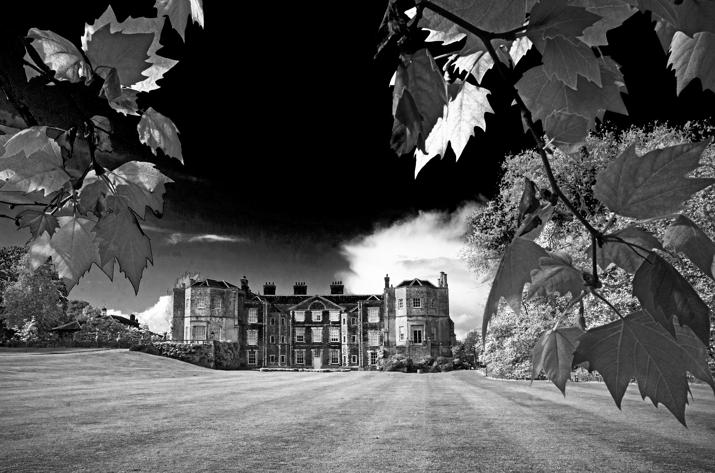 Mottisfont Stately Home & Gardens