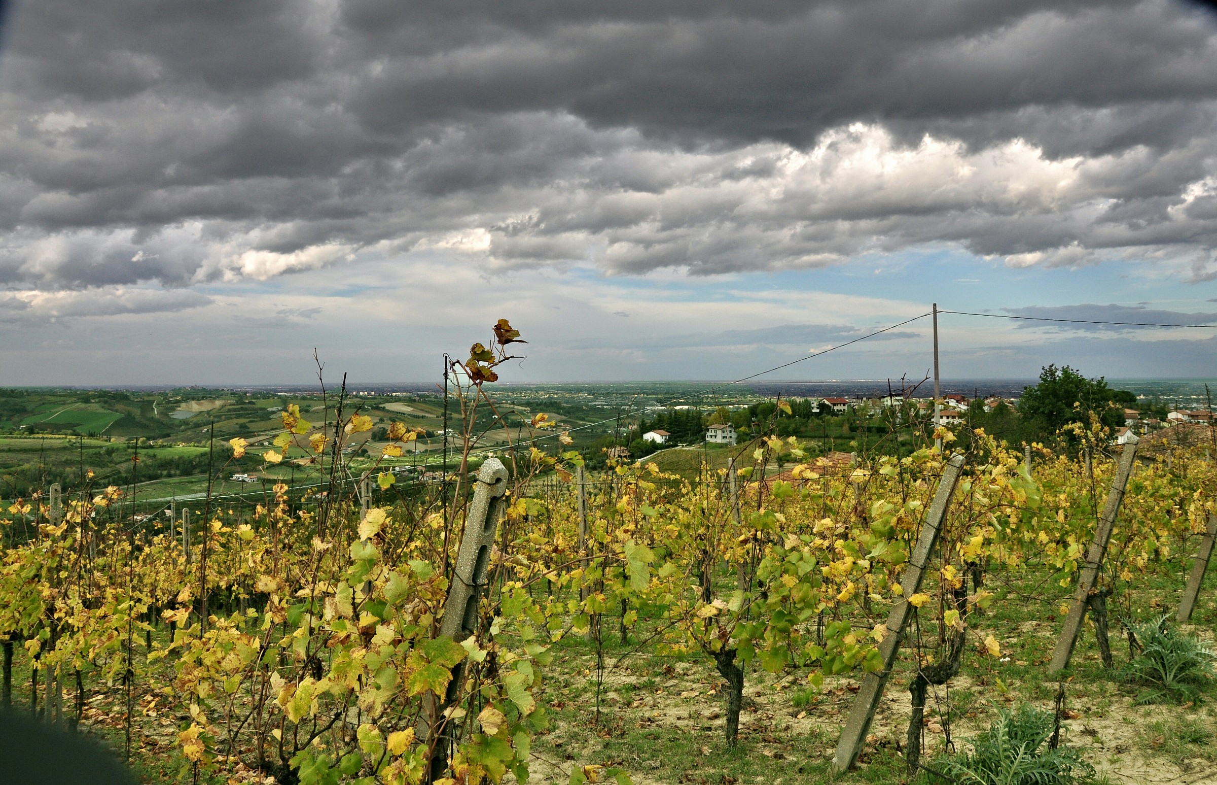 Evviva la Romagna evviva il Sangiovese