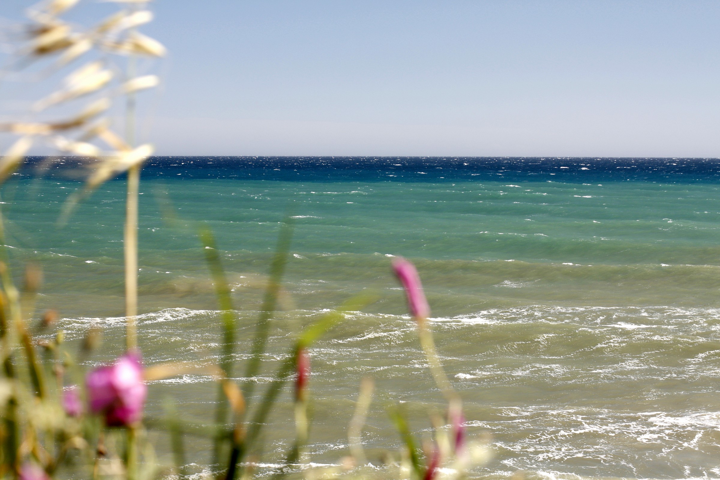 Libeccio ad Arma di Taggia