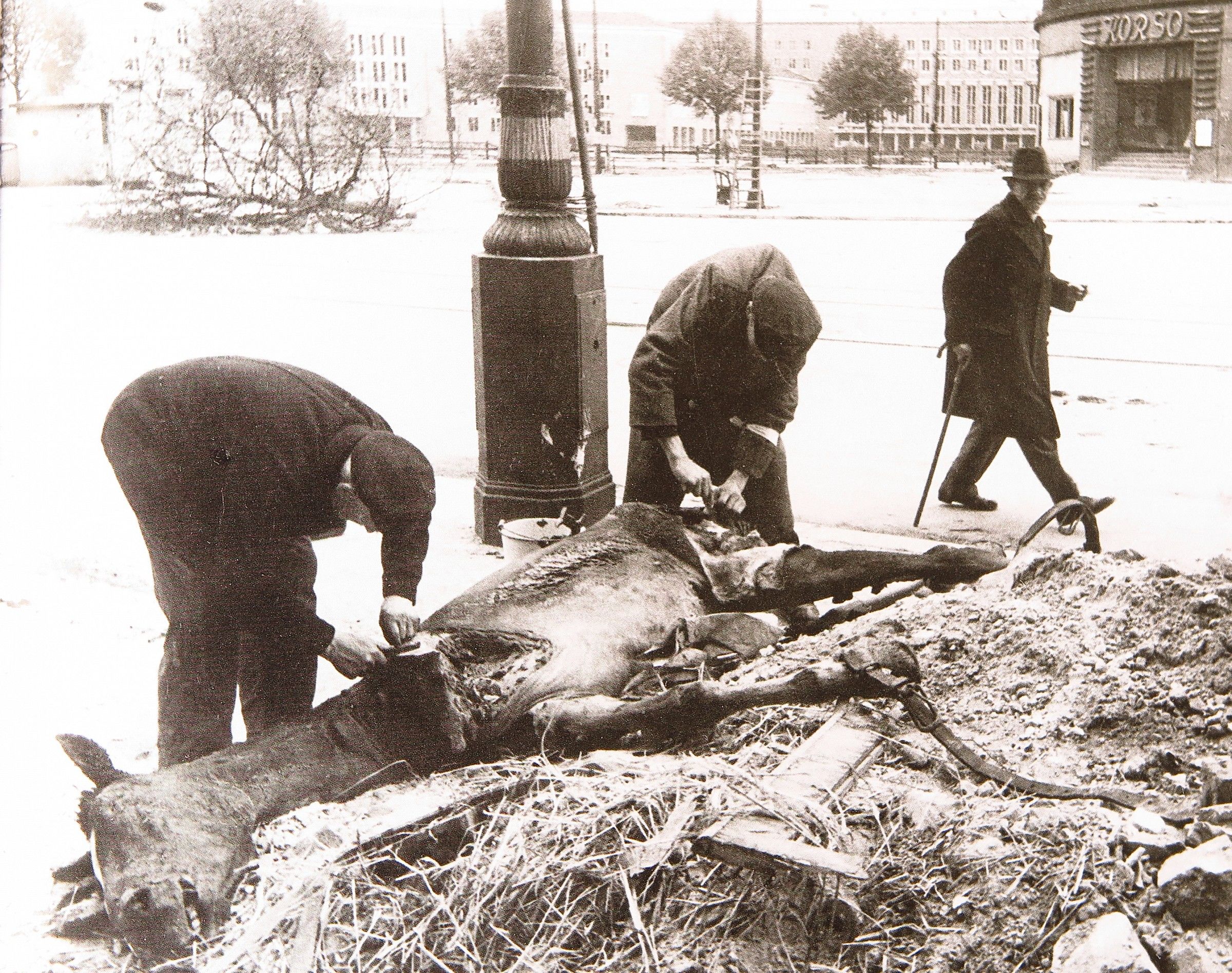 ! 945 in memory of his uncle Orlando.