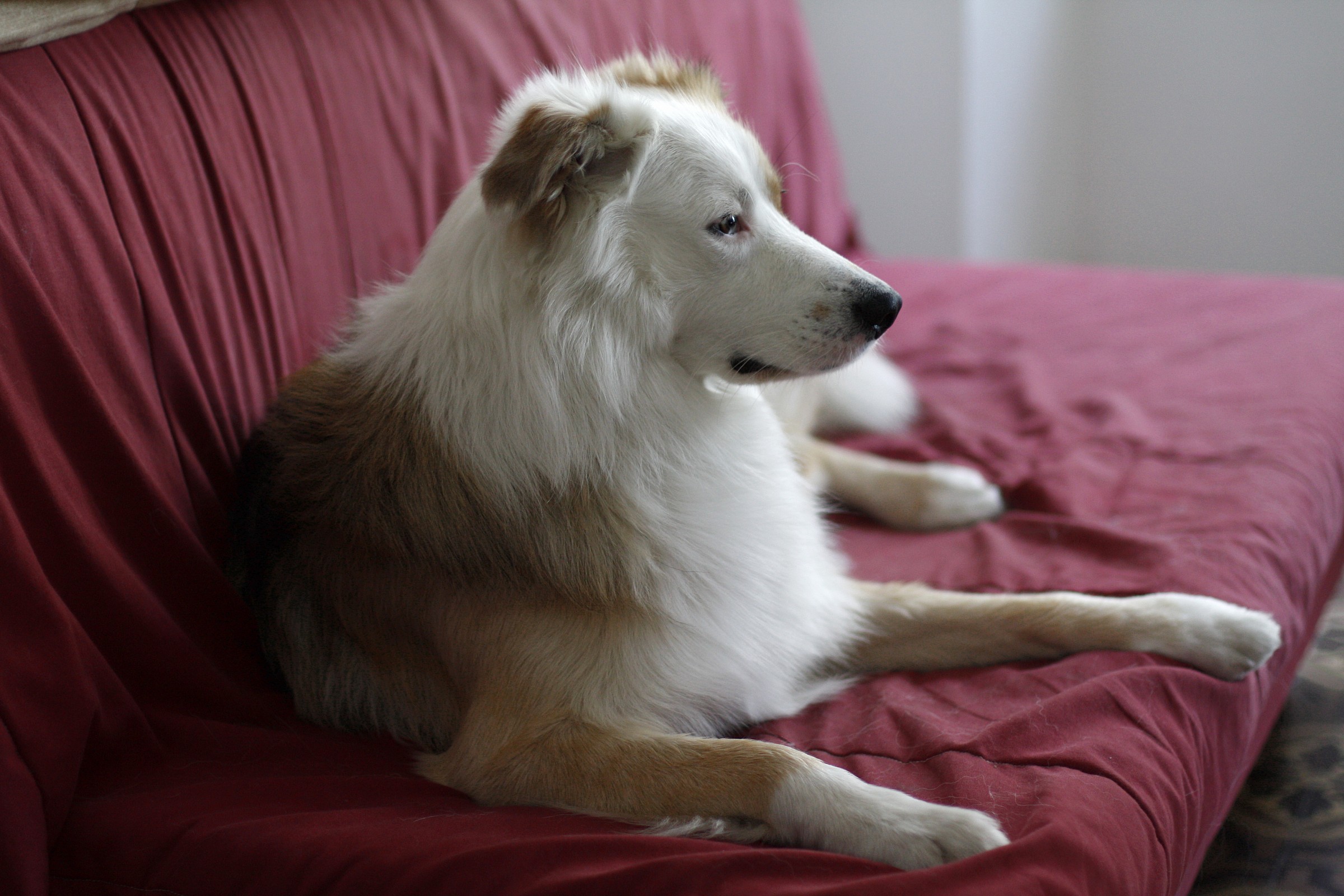 Model for the Sphinx?