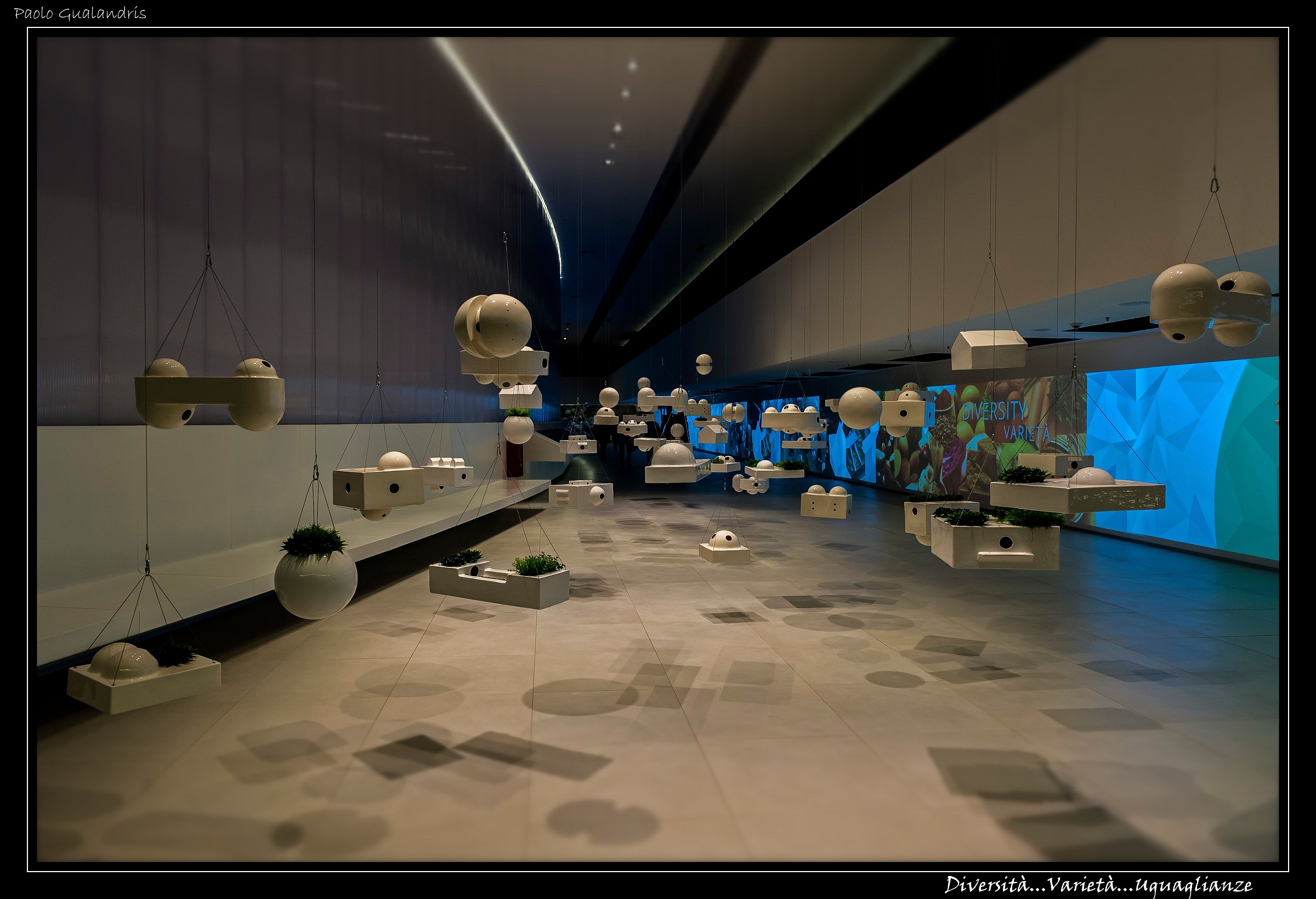 Diversità...Varietà...Uguaglianze