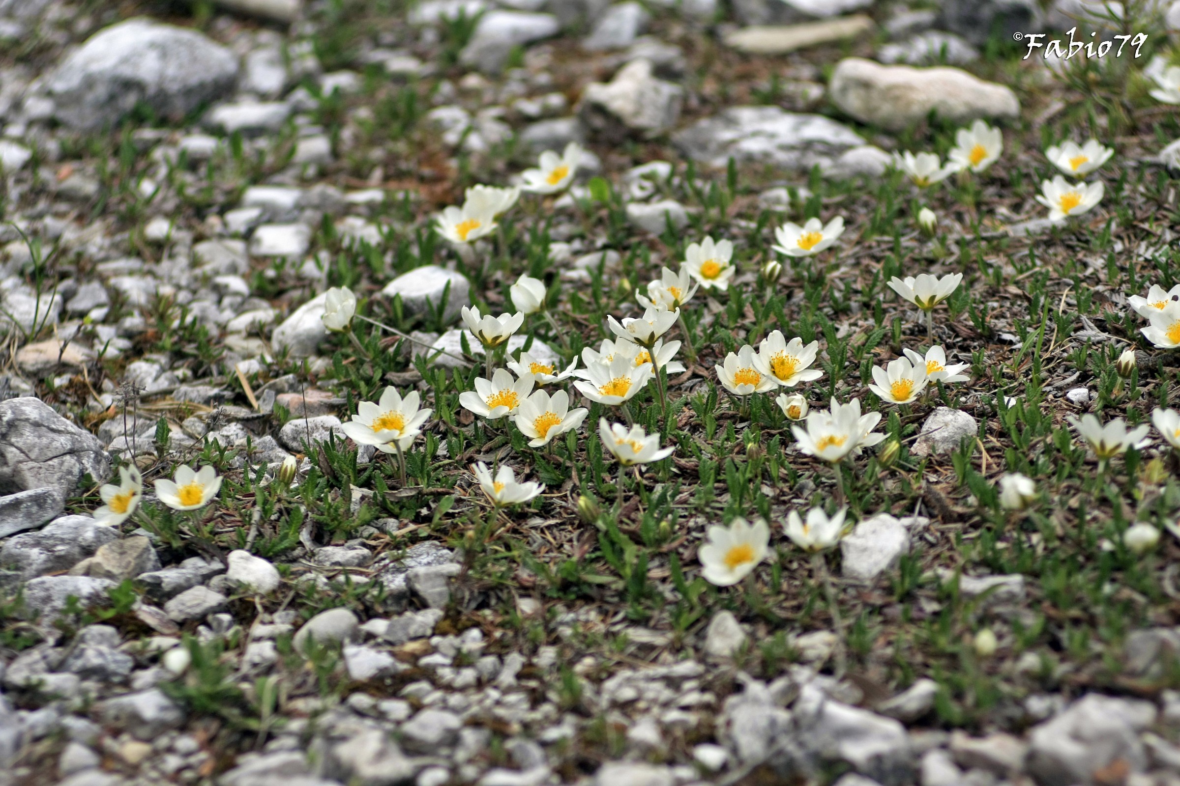 The clash ... Who will win?