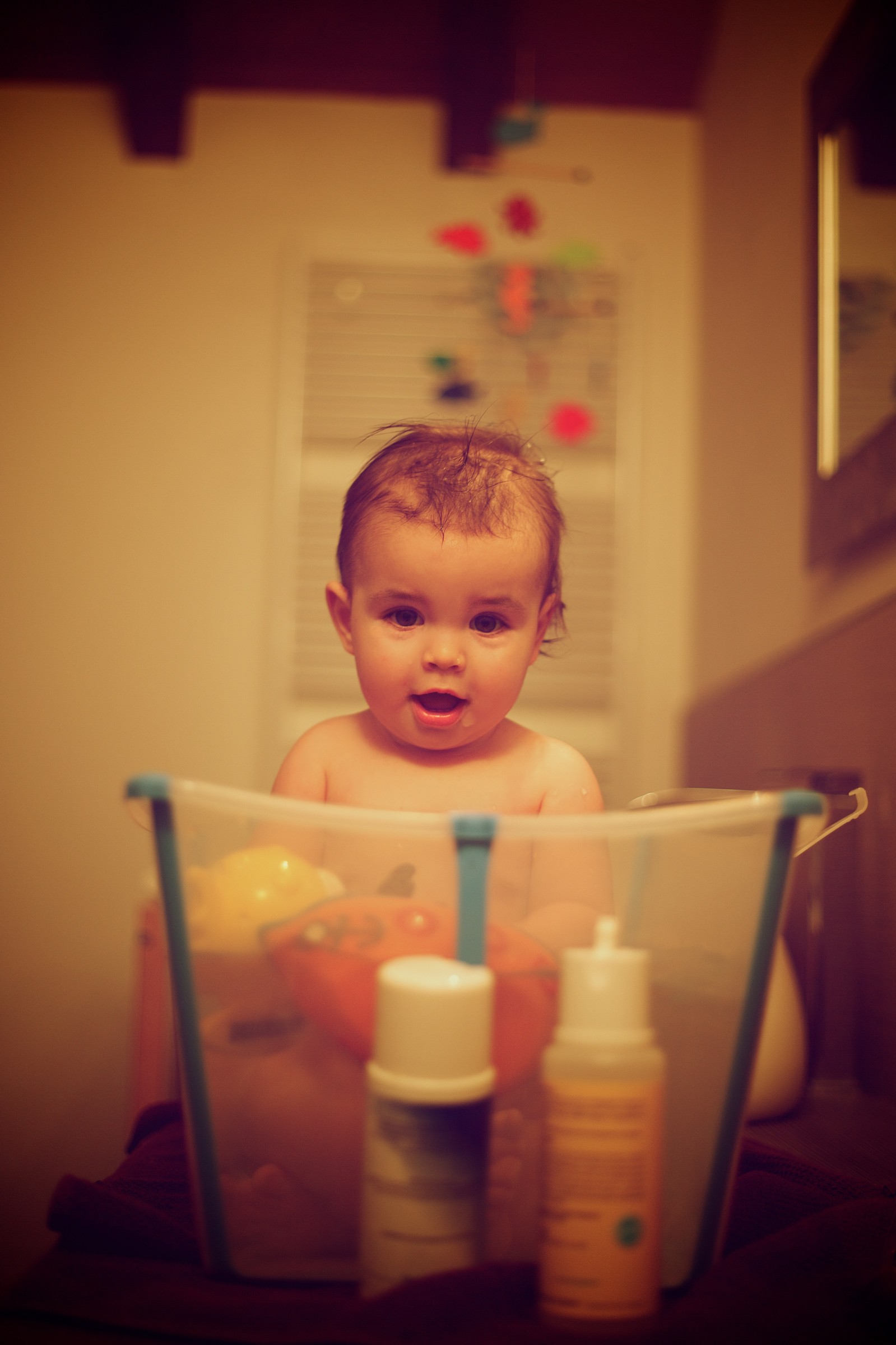 Leonardo in toilette