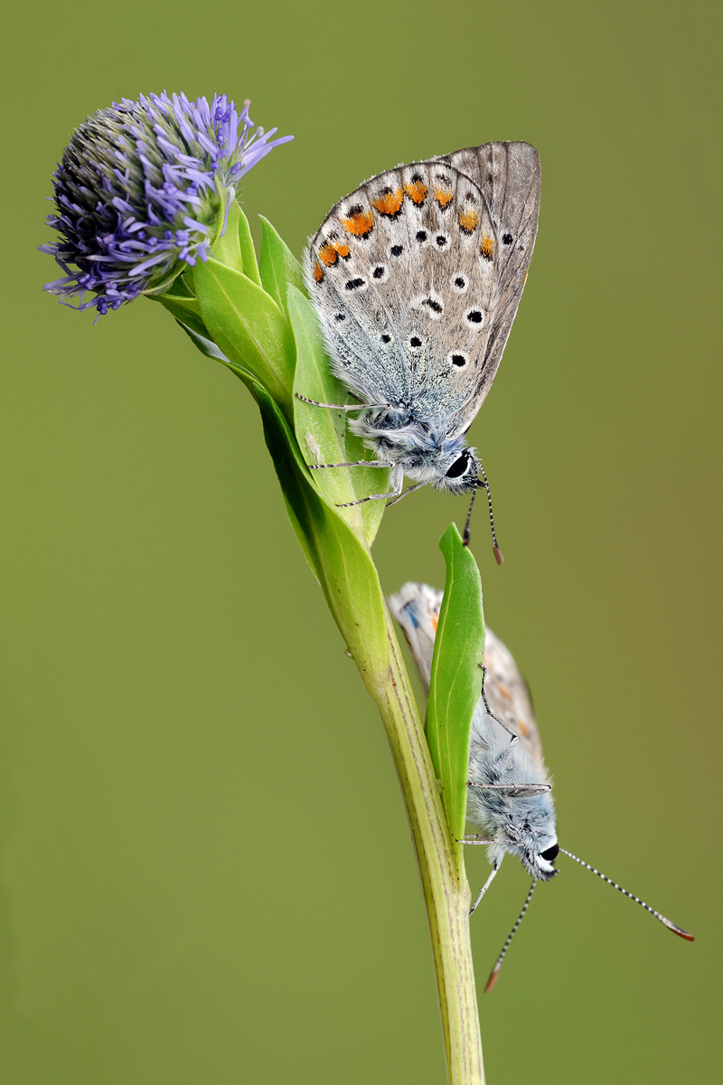 playing hide and seek