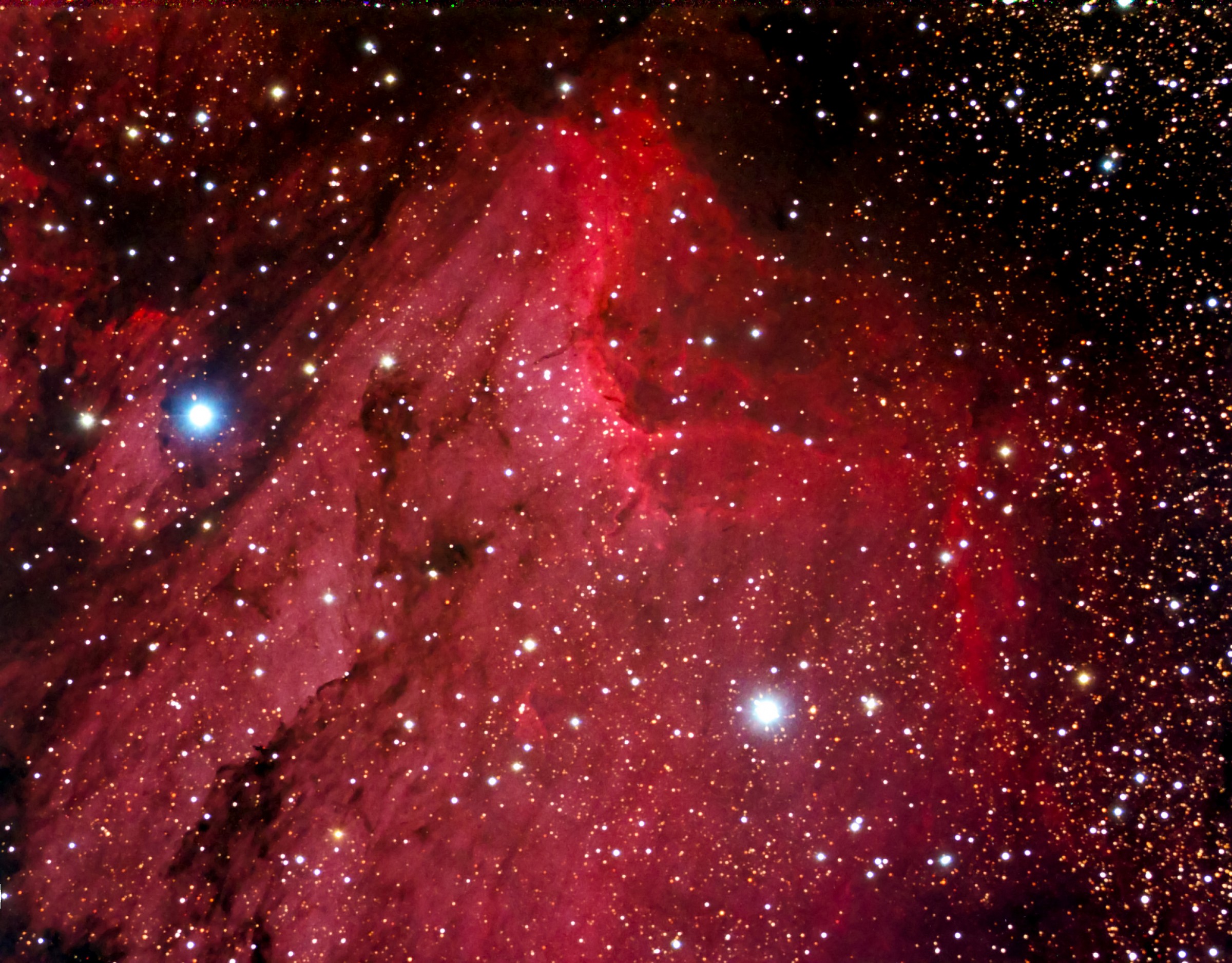 Pelican Nebula NGC 5070 Constellation Cygnus