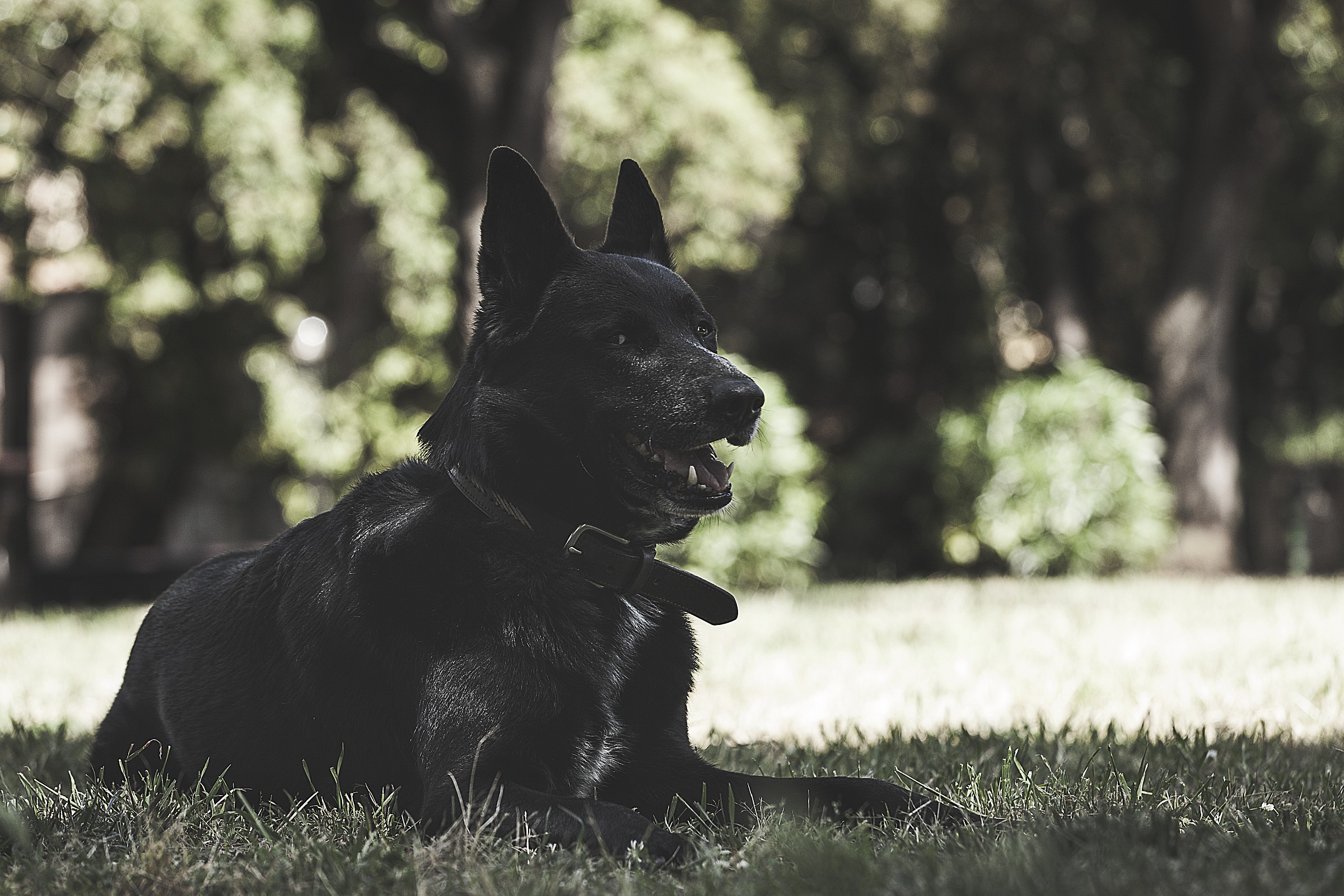 Bau model shooting: D