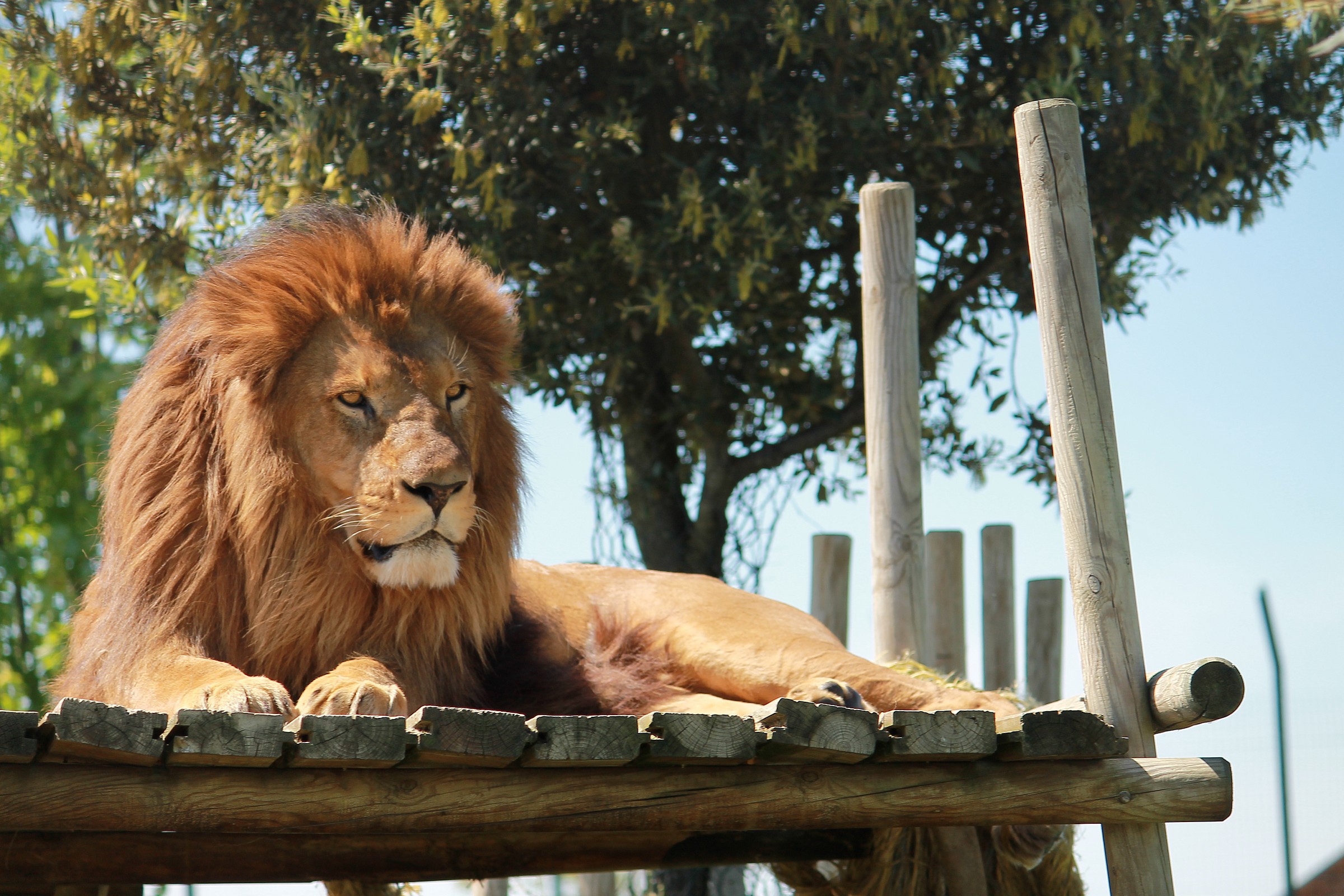 non mi disturbate...grazie...