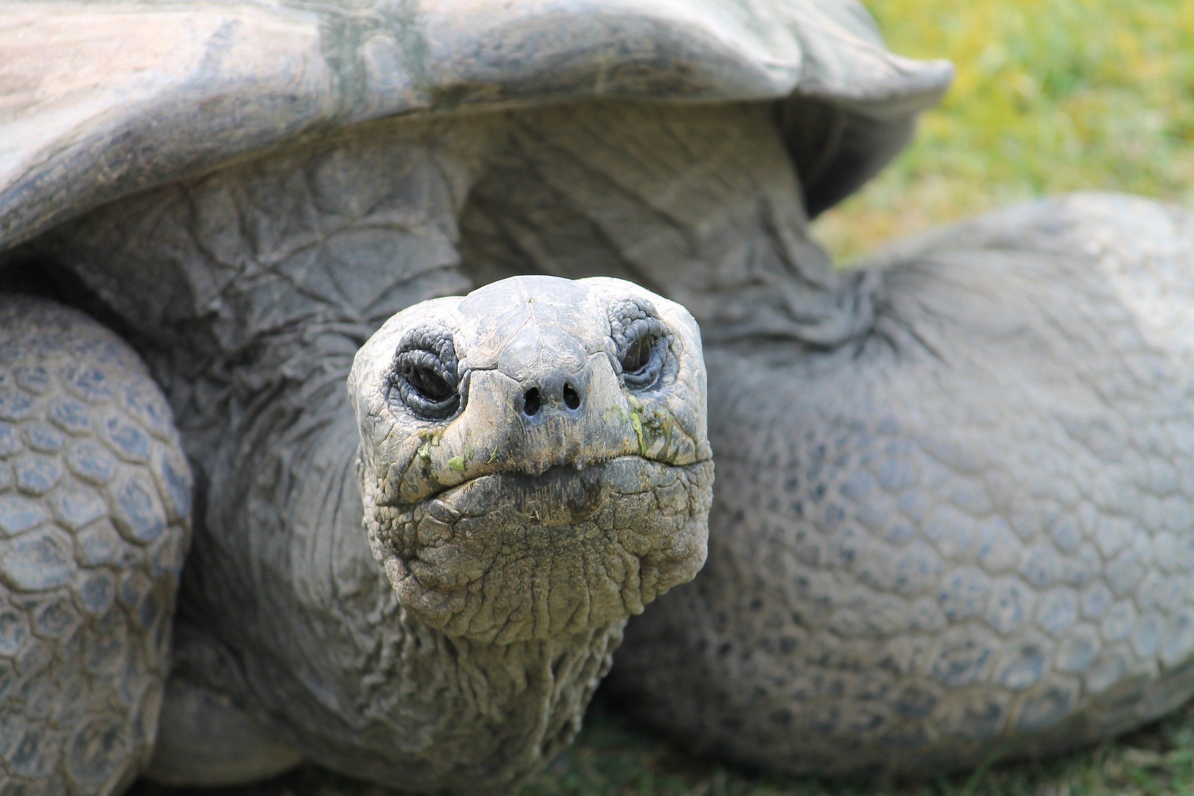 guardami bene negli occhi!