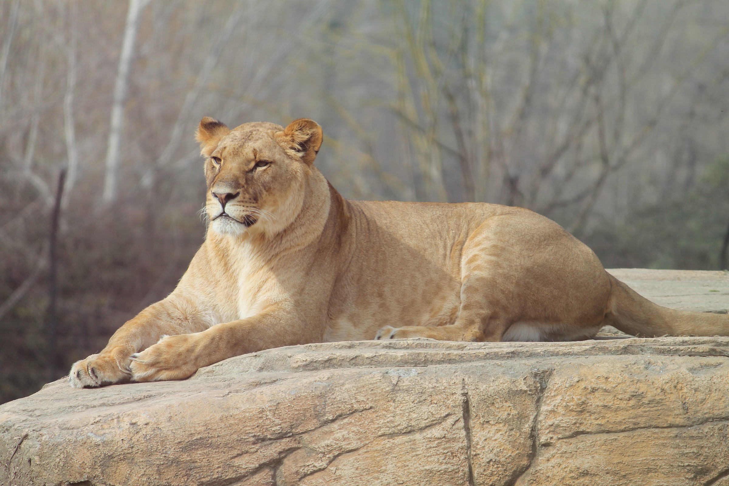 serenità apparente femminile...