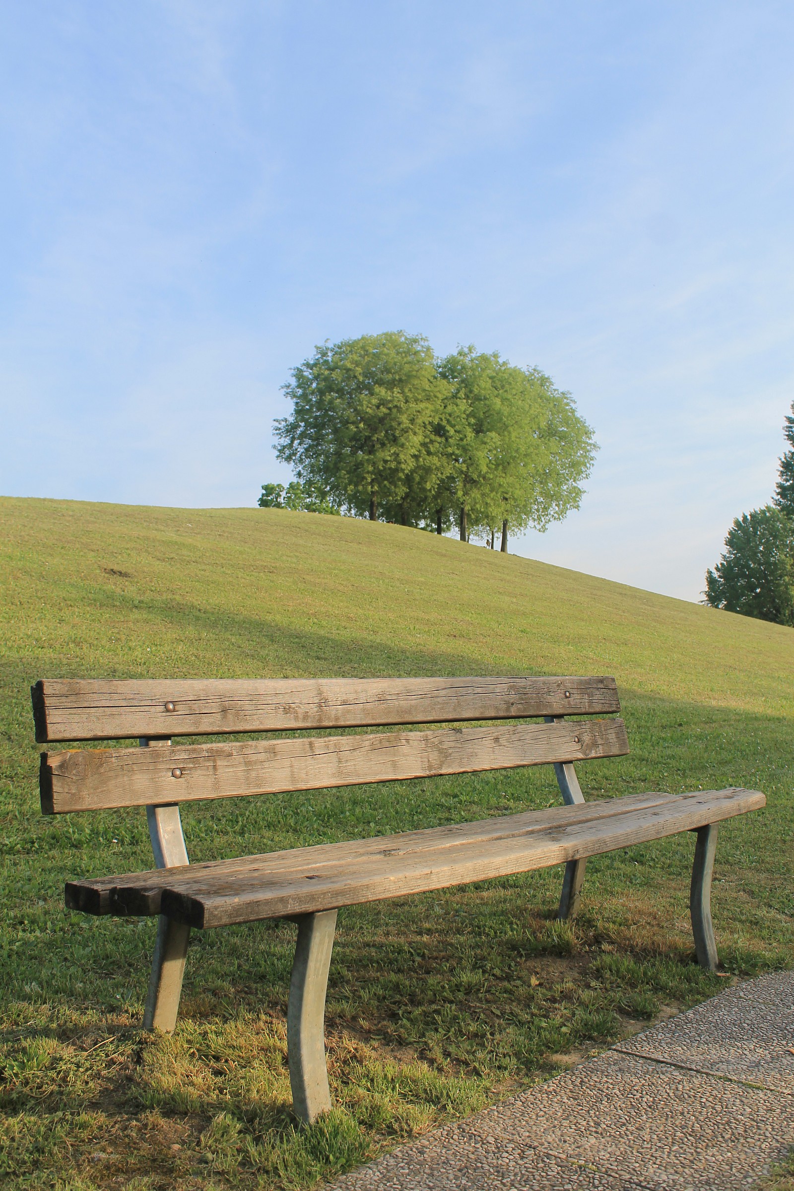 4 "P" ... panchina..prato..parco..primavera ..