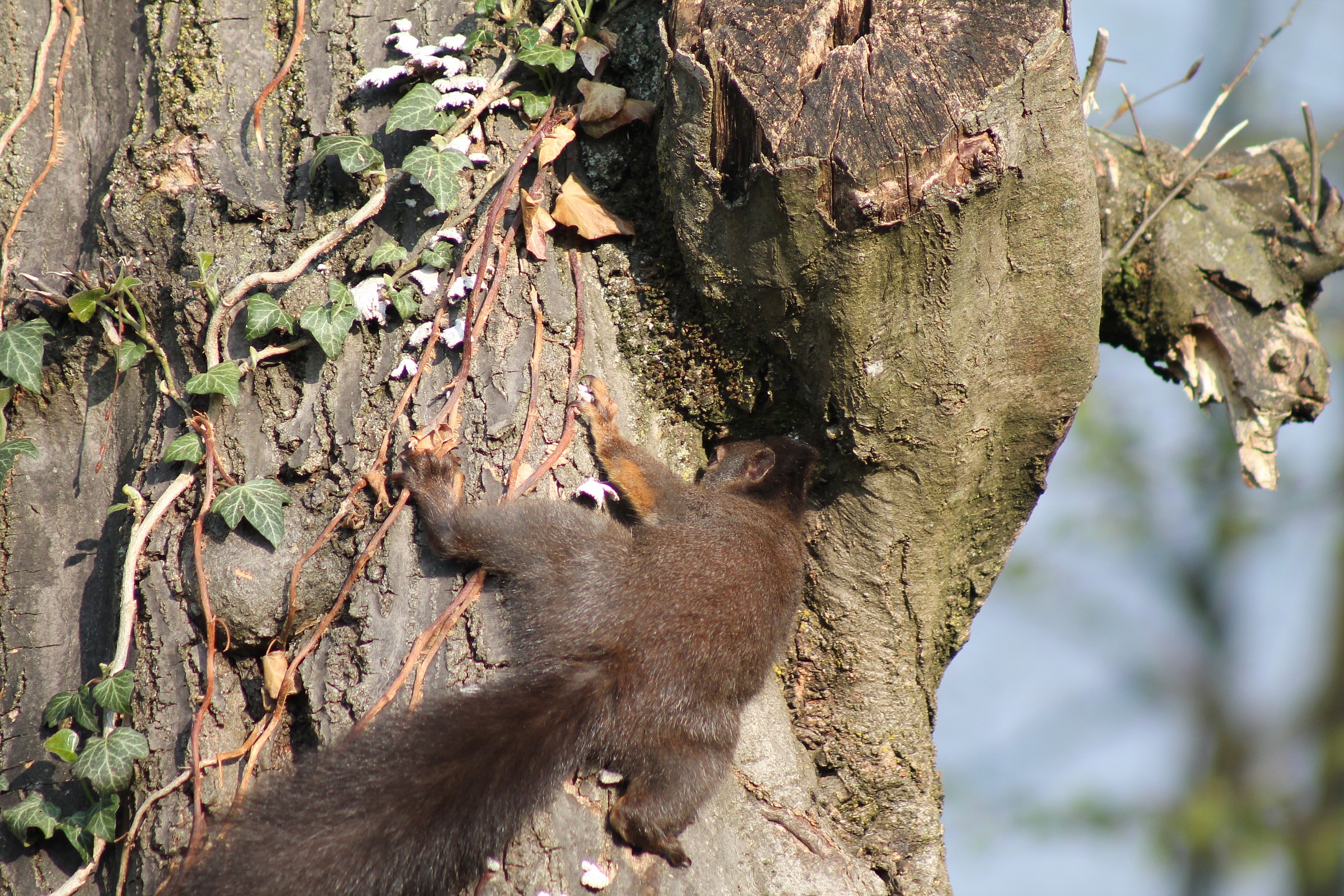 chissà cosa troverò..