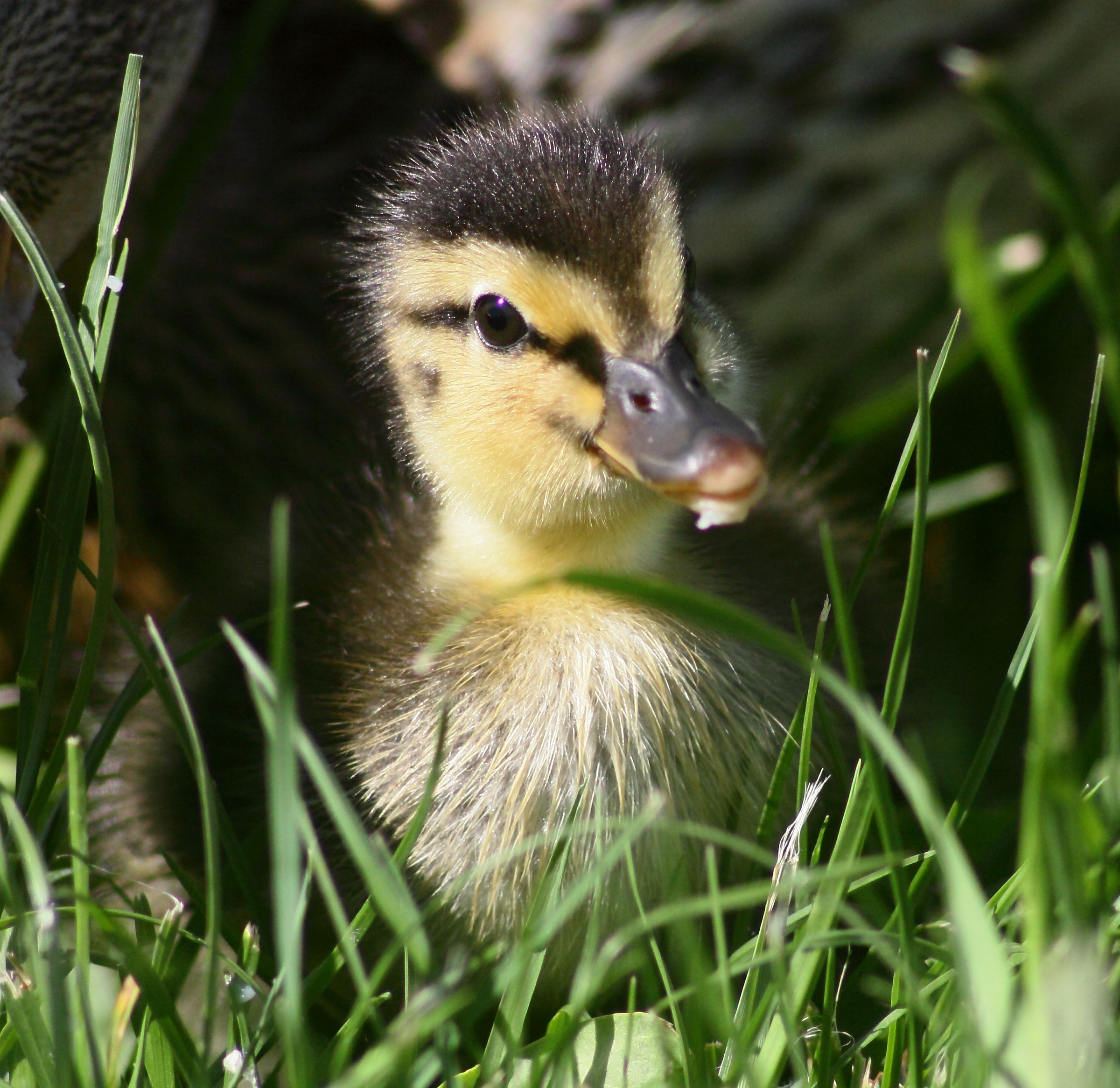 .... Hello ... I am new again ...