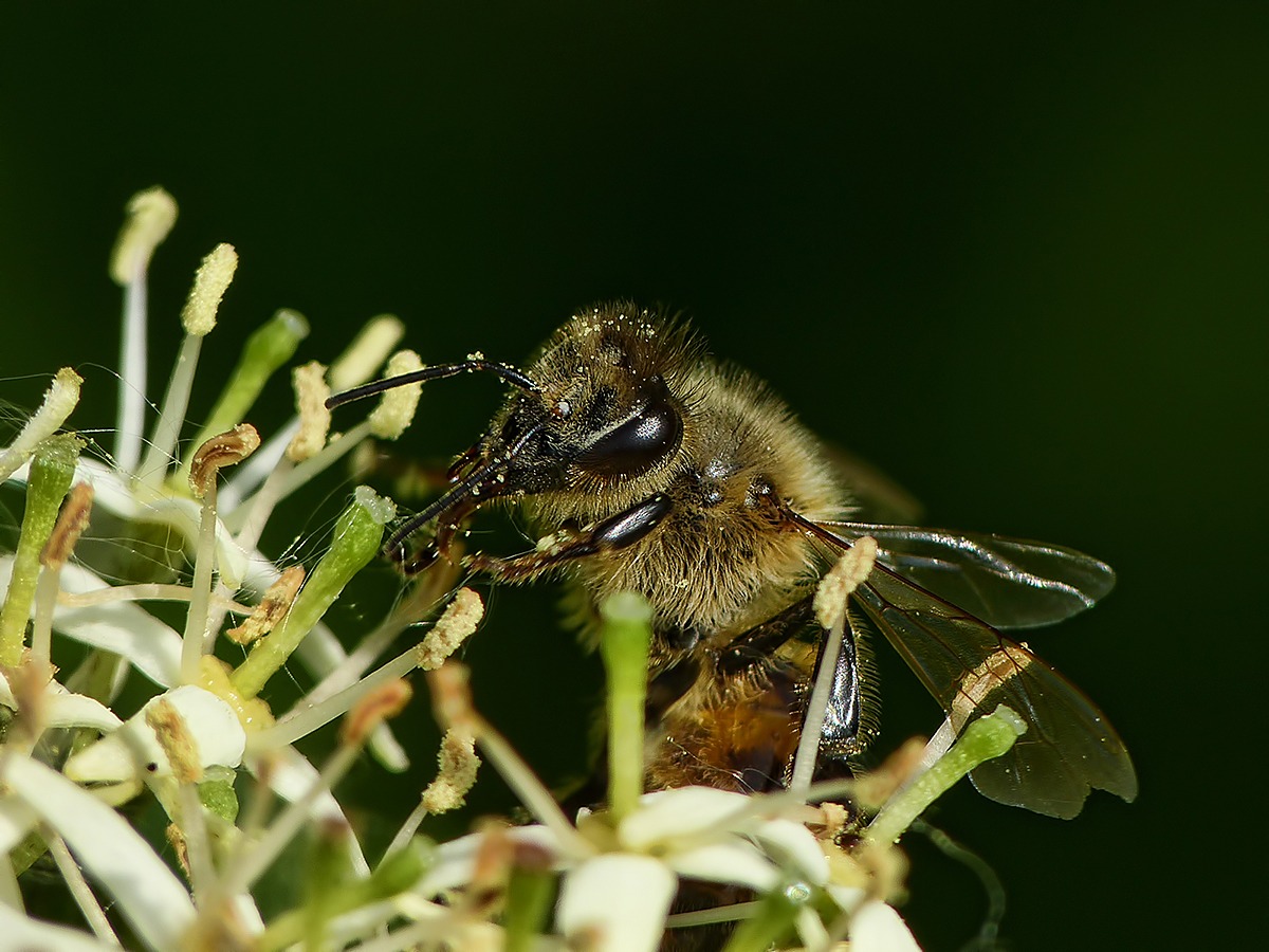 Do not disturb me ...