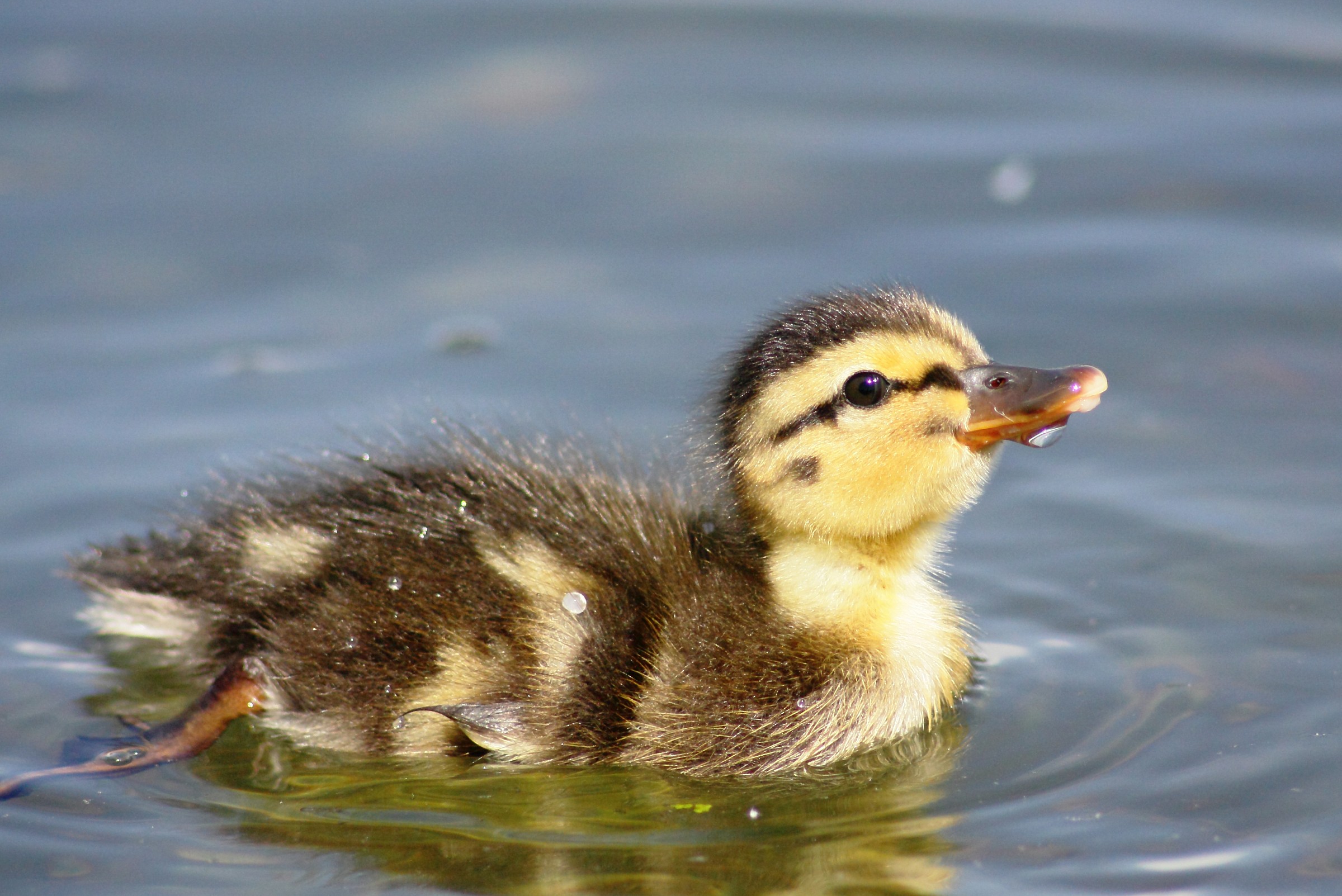 .... Come and play with me ??? ...