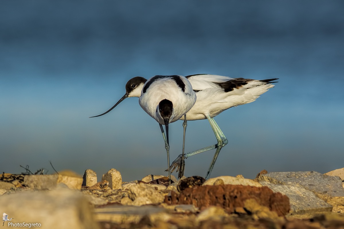 Stanotte dormiamo qui...
