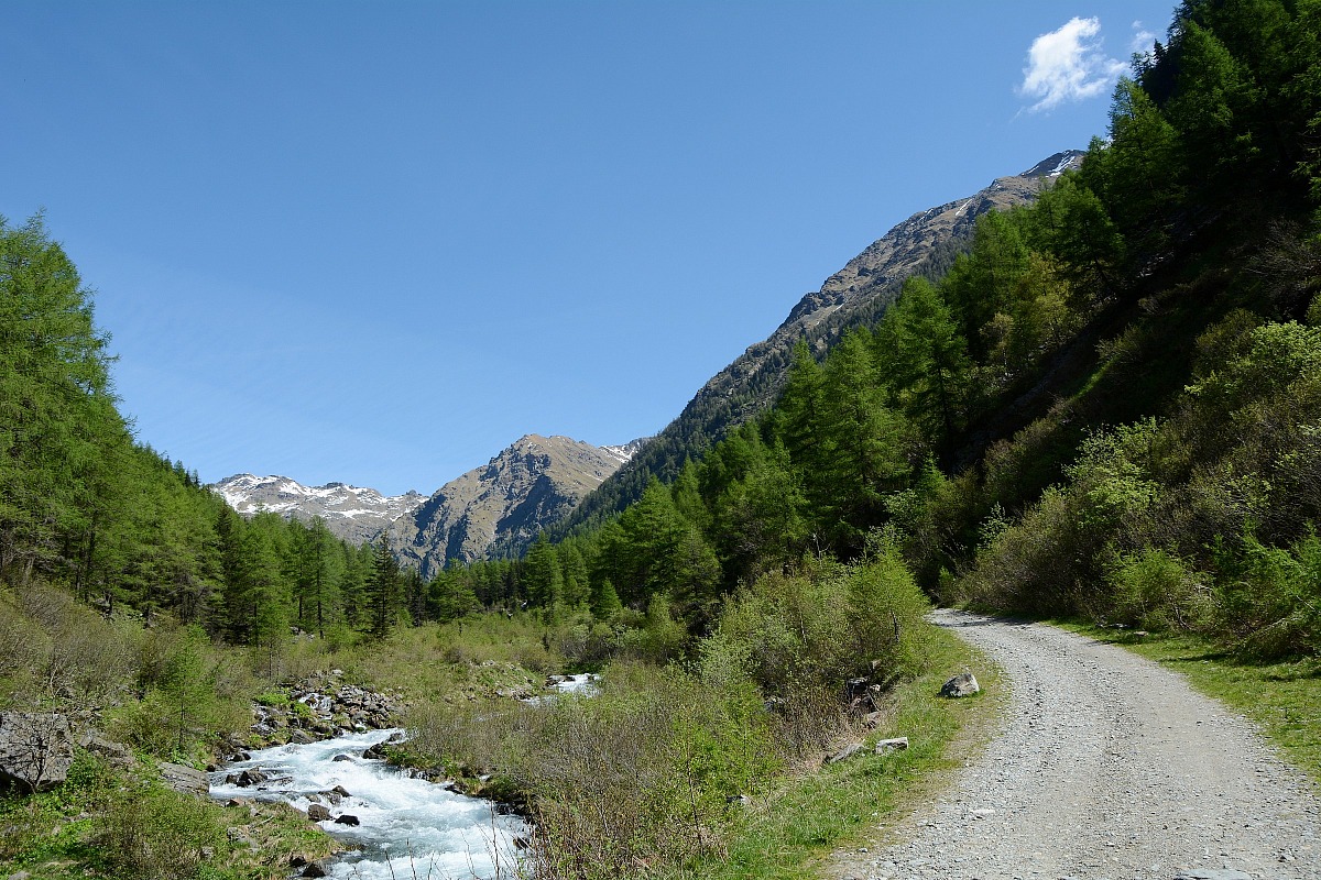 in cammino verso ... abbiamo spesso due strade