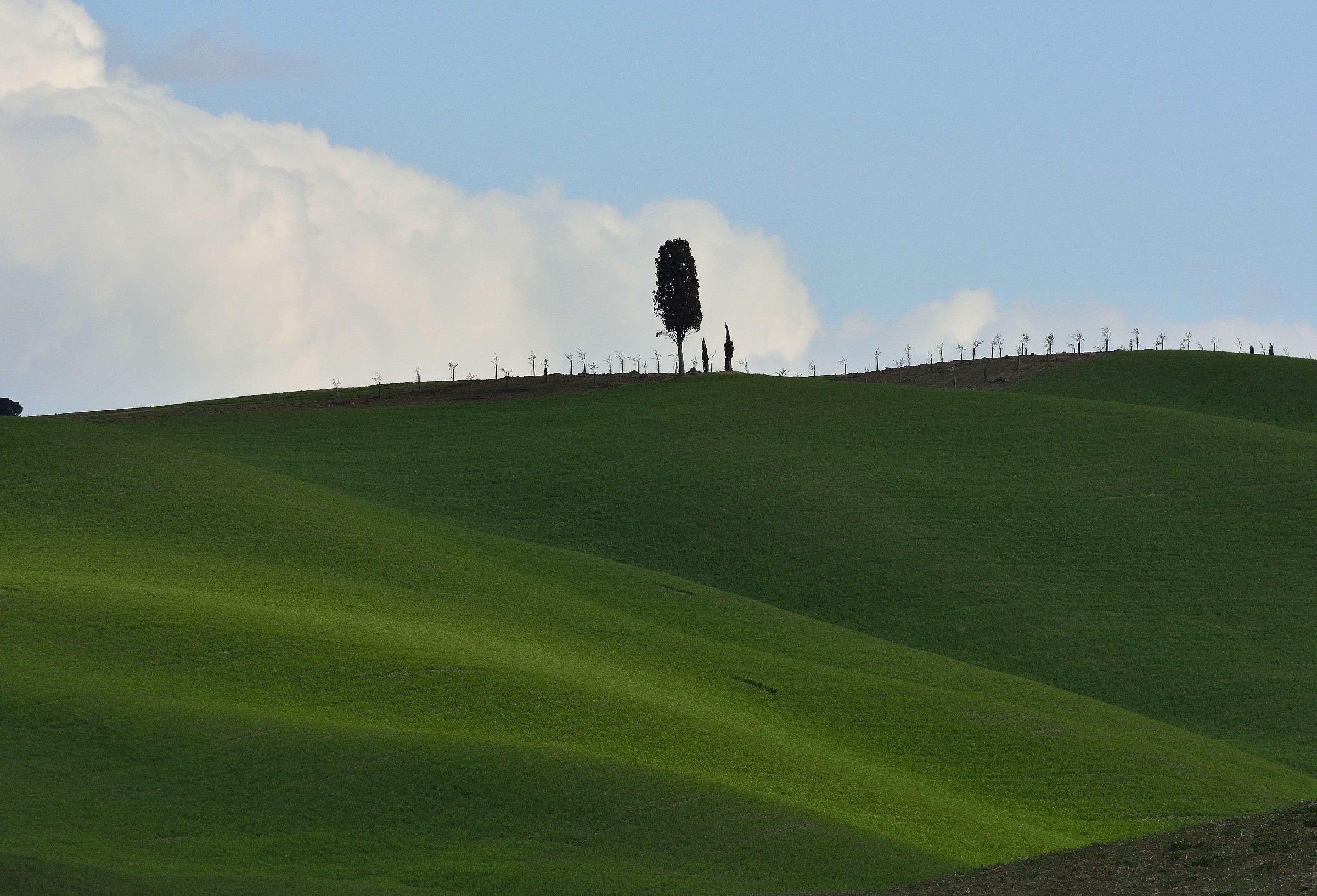 Val d'Orcia