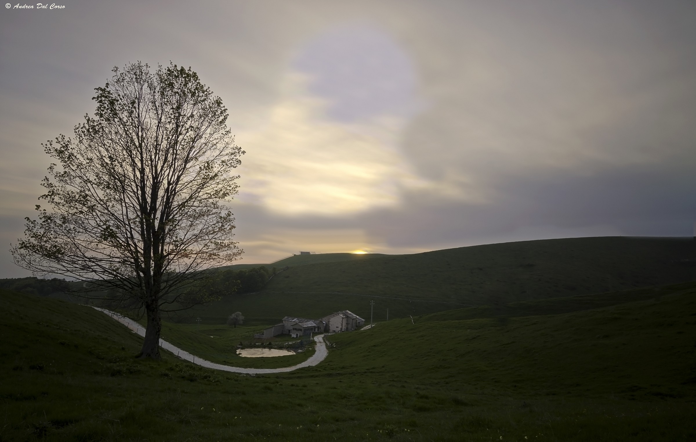 L'albero e il tramonto_02