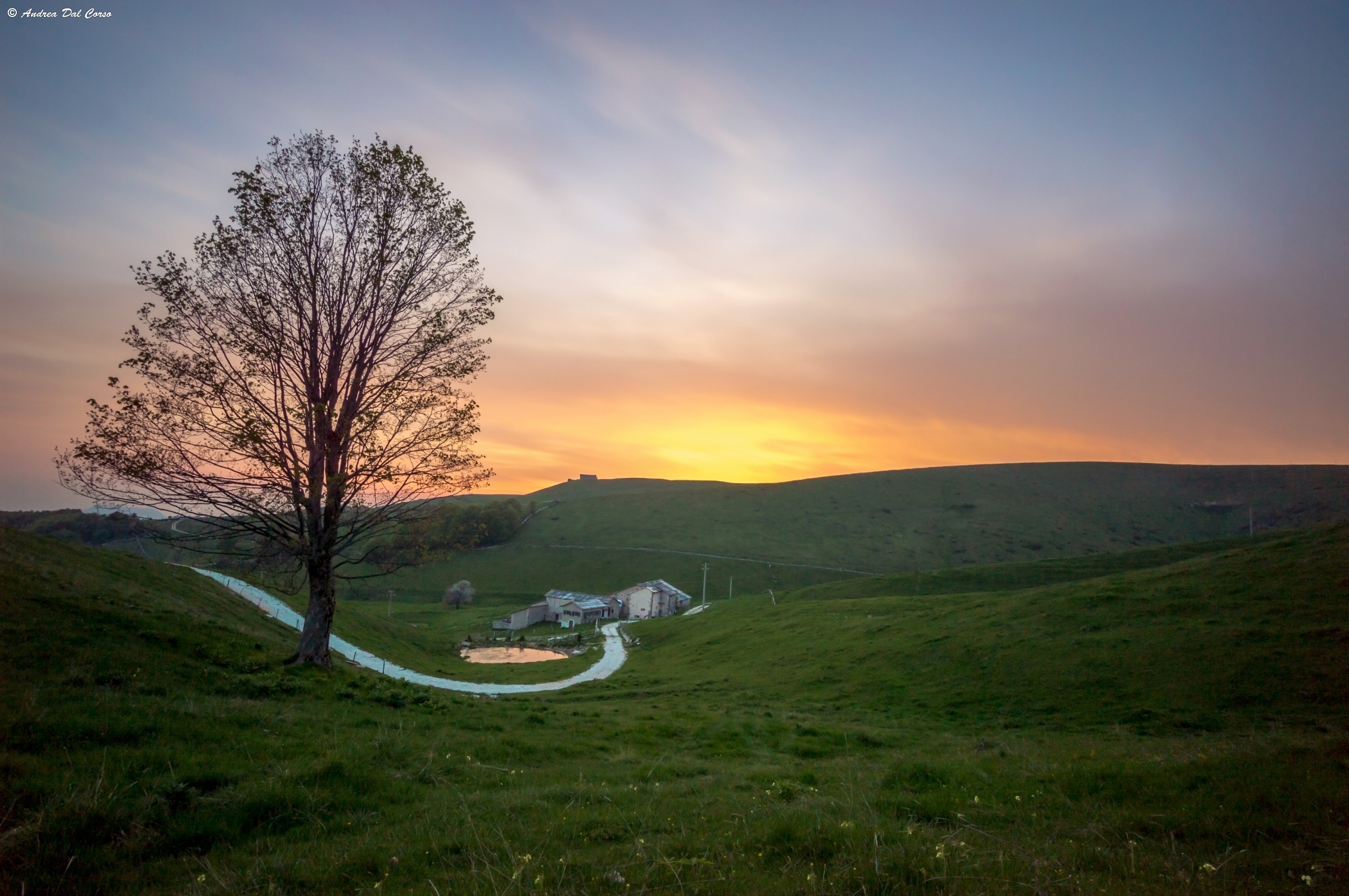 L'albero e il tramonto