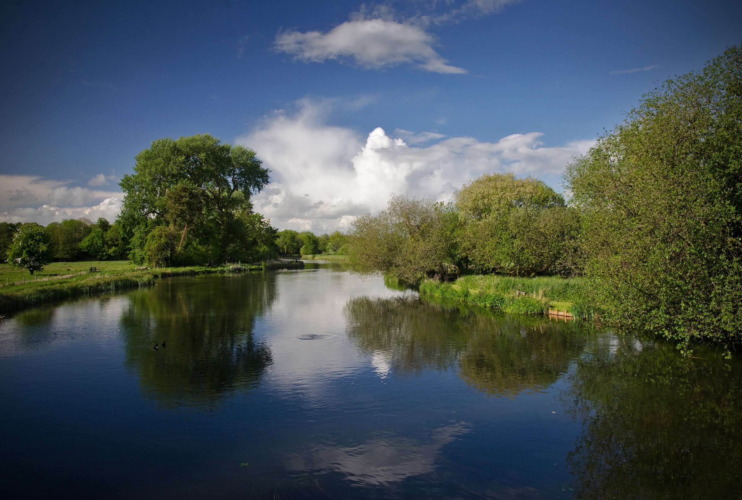 Fiume Test maggio, Colore