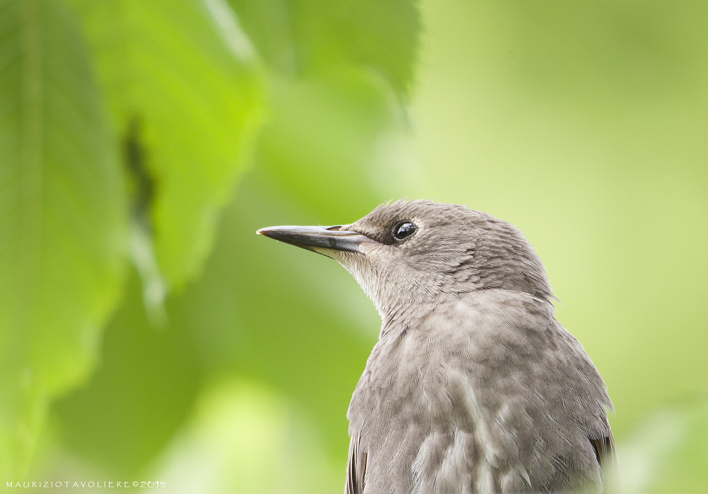 We are like friends now ..