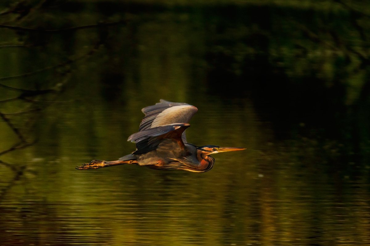 and it is now evening