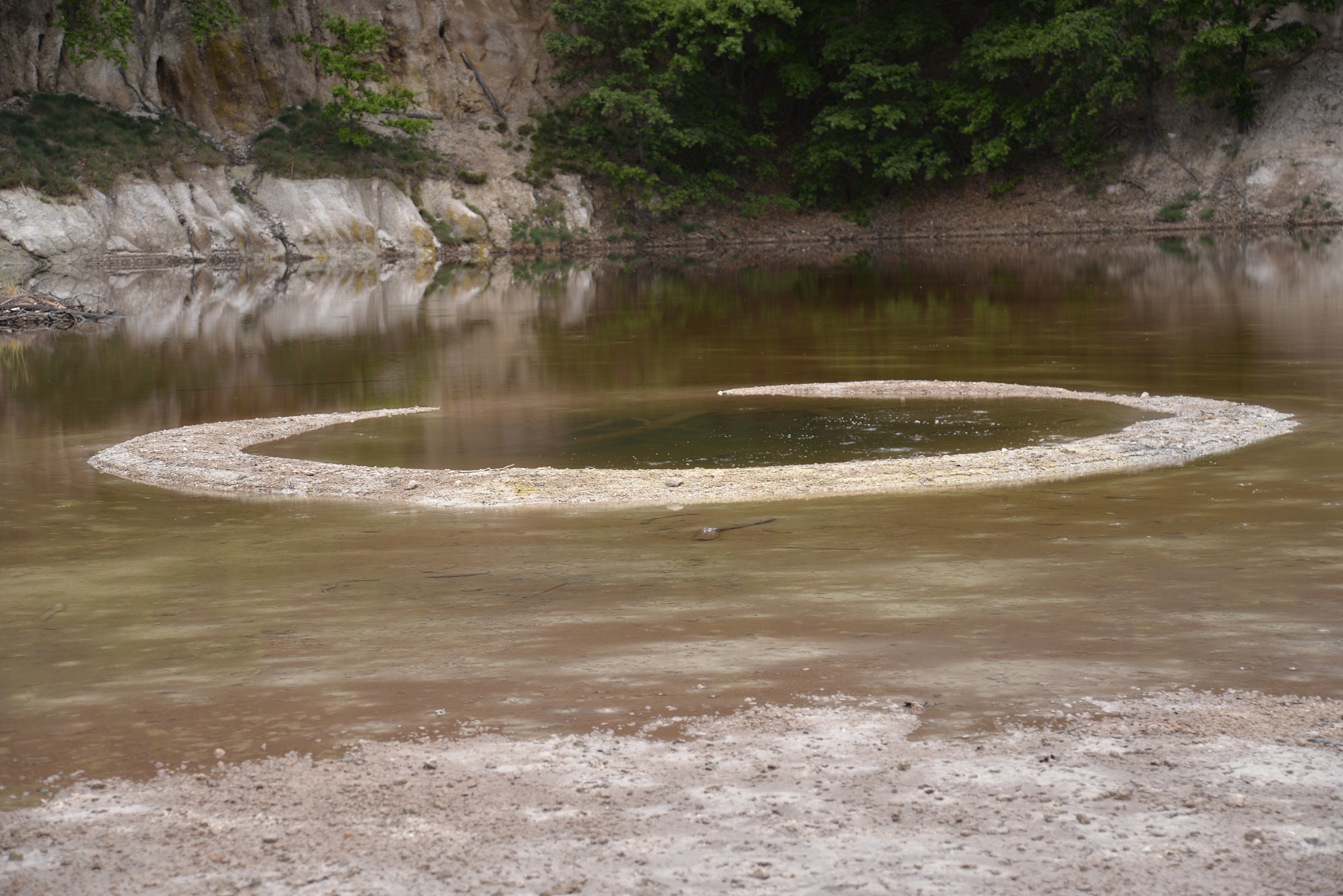 disc of salt and sulfur