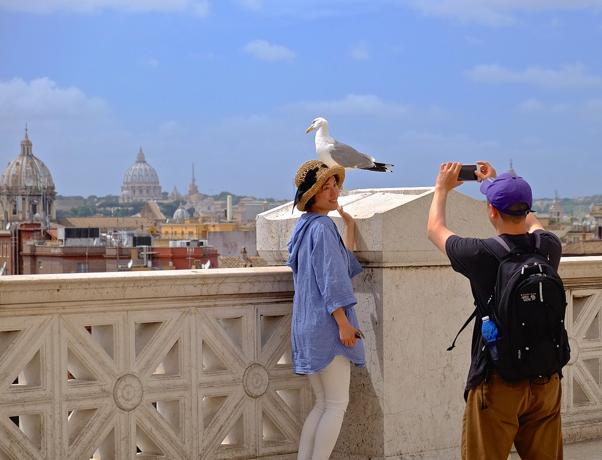 as they say seagull in Japanese?