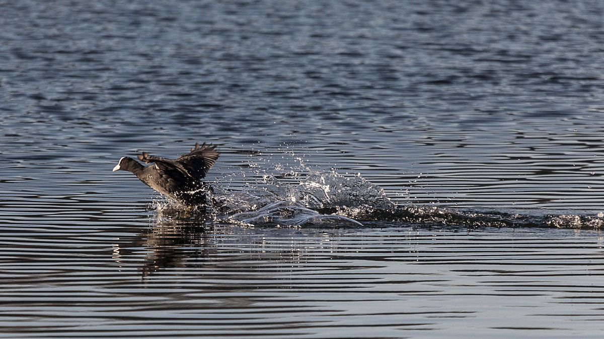 Pronti, partenza..... via!!