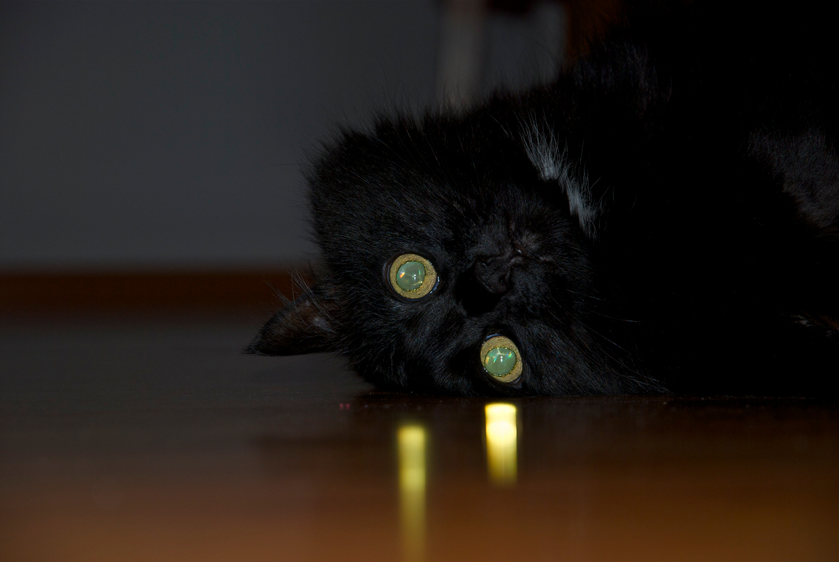 Occhi specchi dell'anima