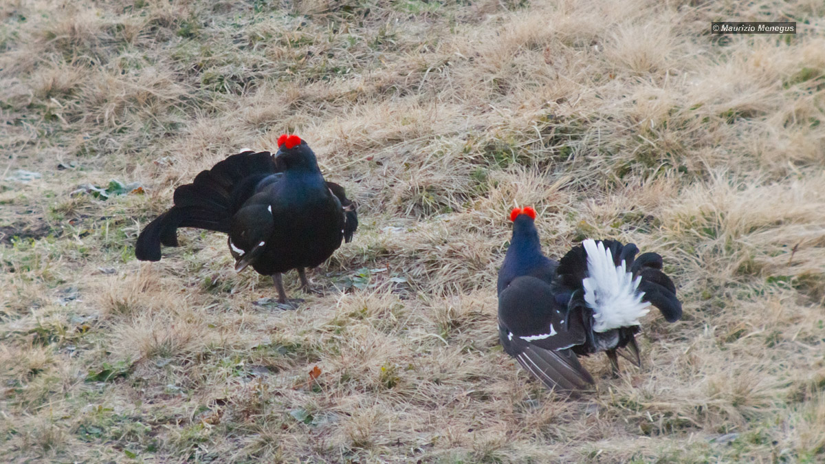 Primi scatti alle 5:37