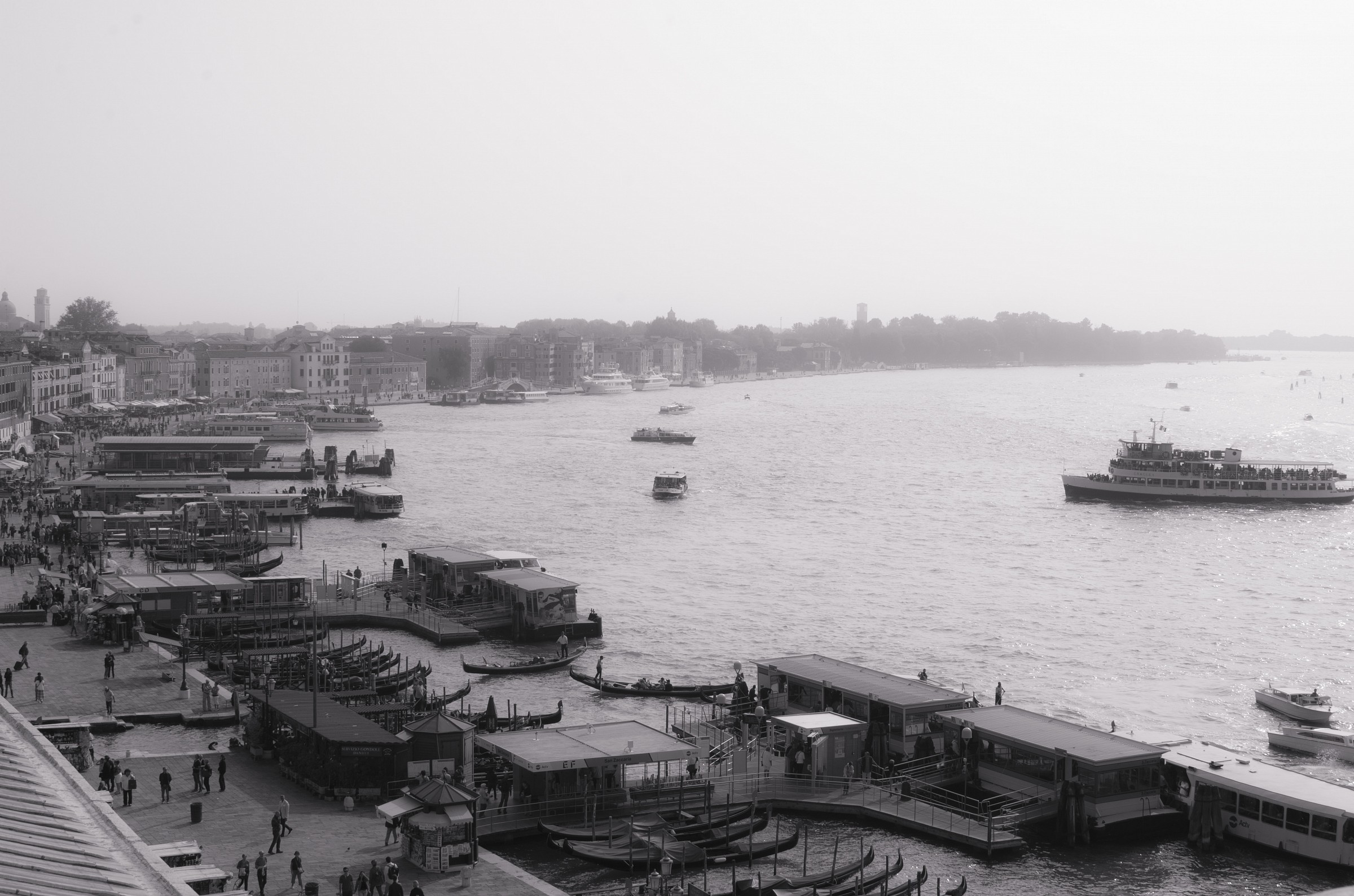 Da dentro Palazzo Ducale