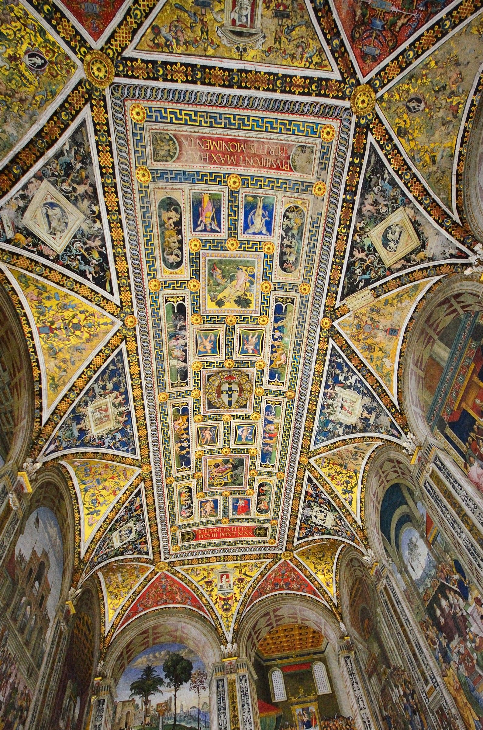 Biblioteca duomo - soffitto