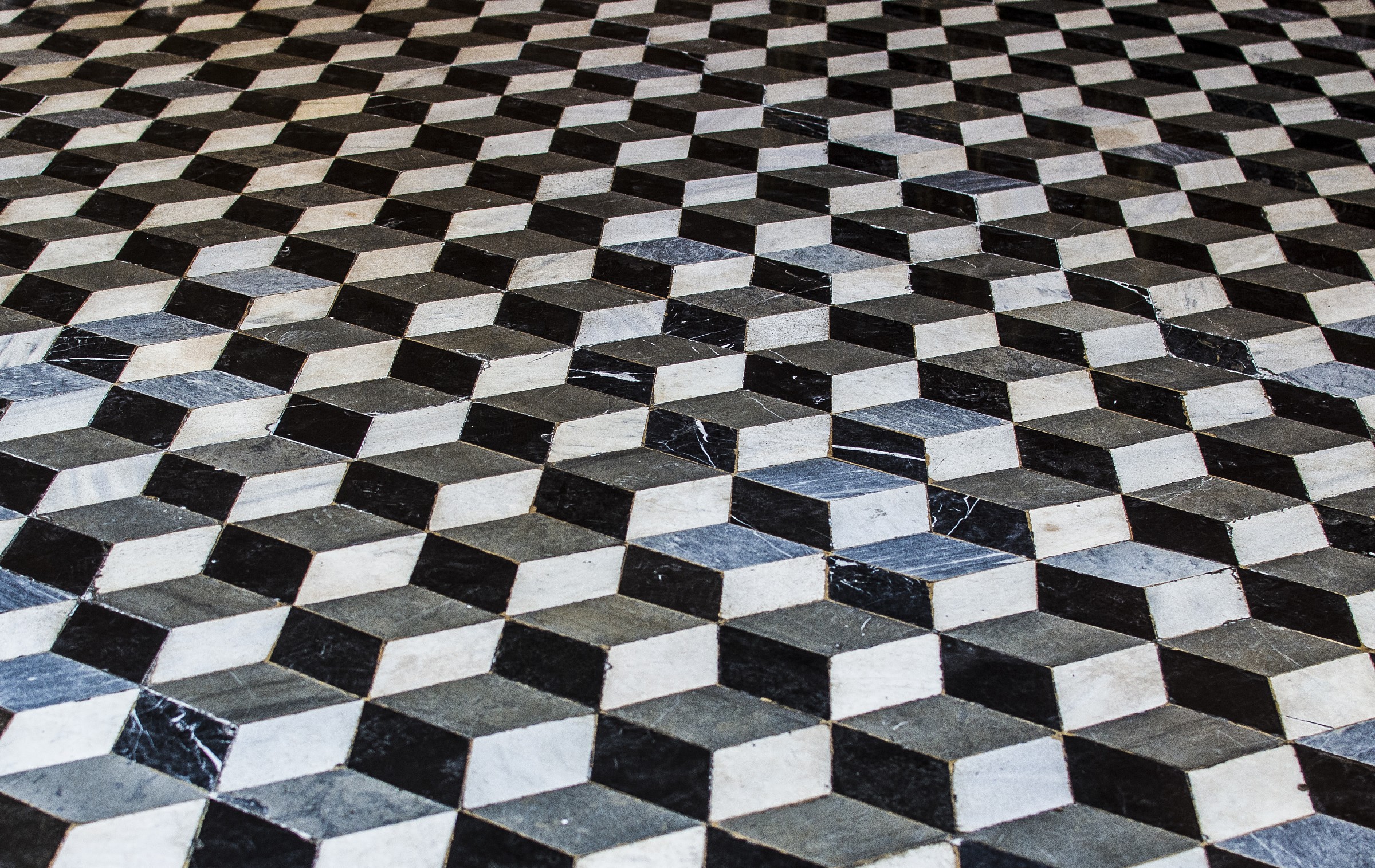 Da dentro Palazzo Ducale