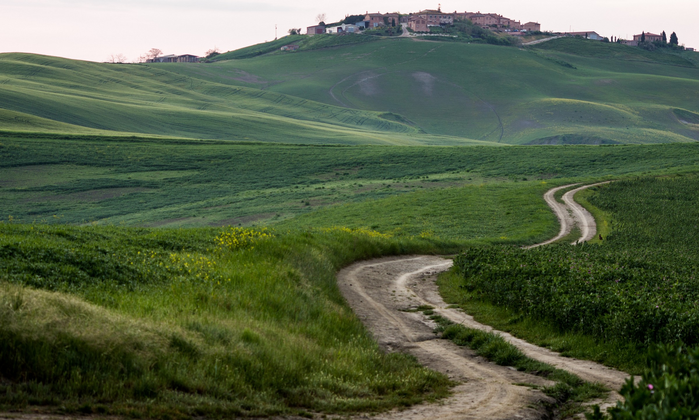 Sunrise on the Crete Senesi