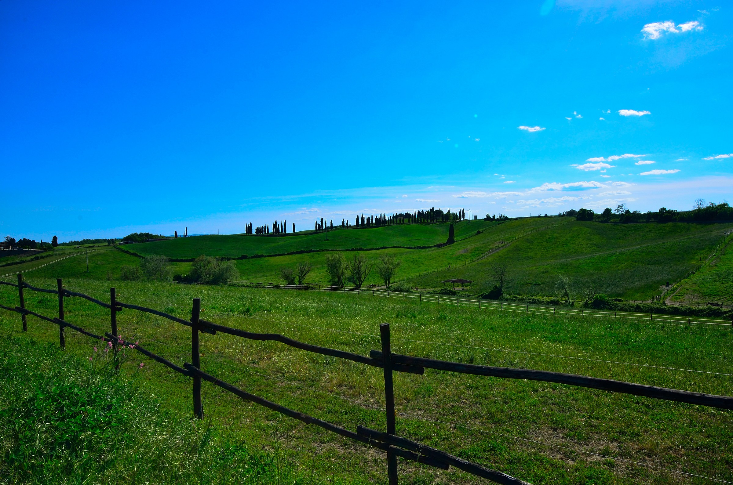 Colline senesi