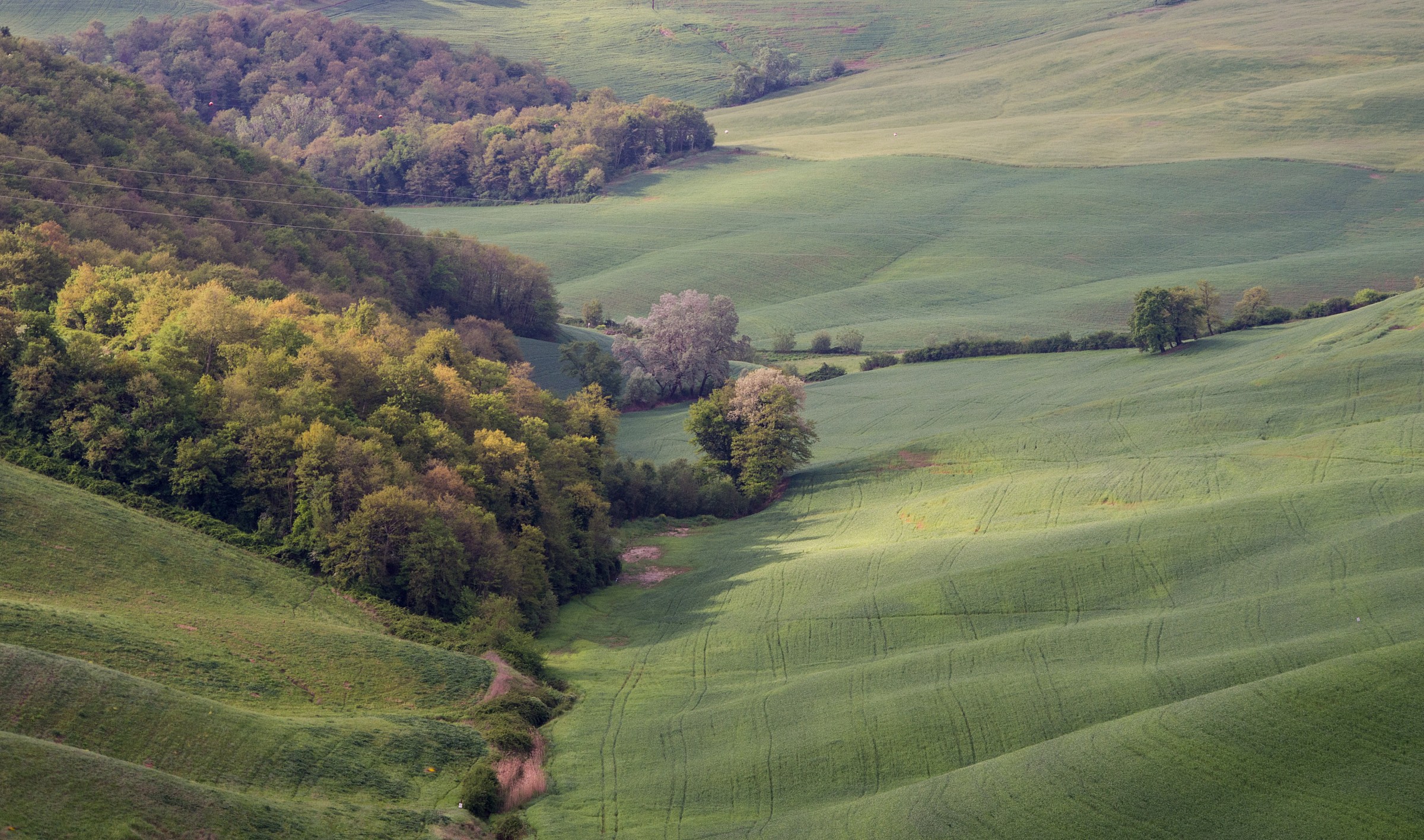 Sunrise on the Crete Senesi