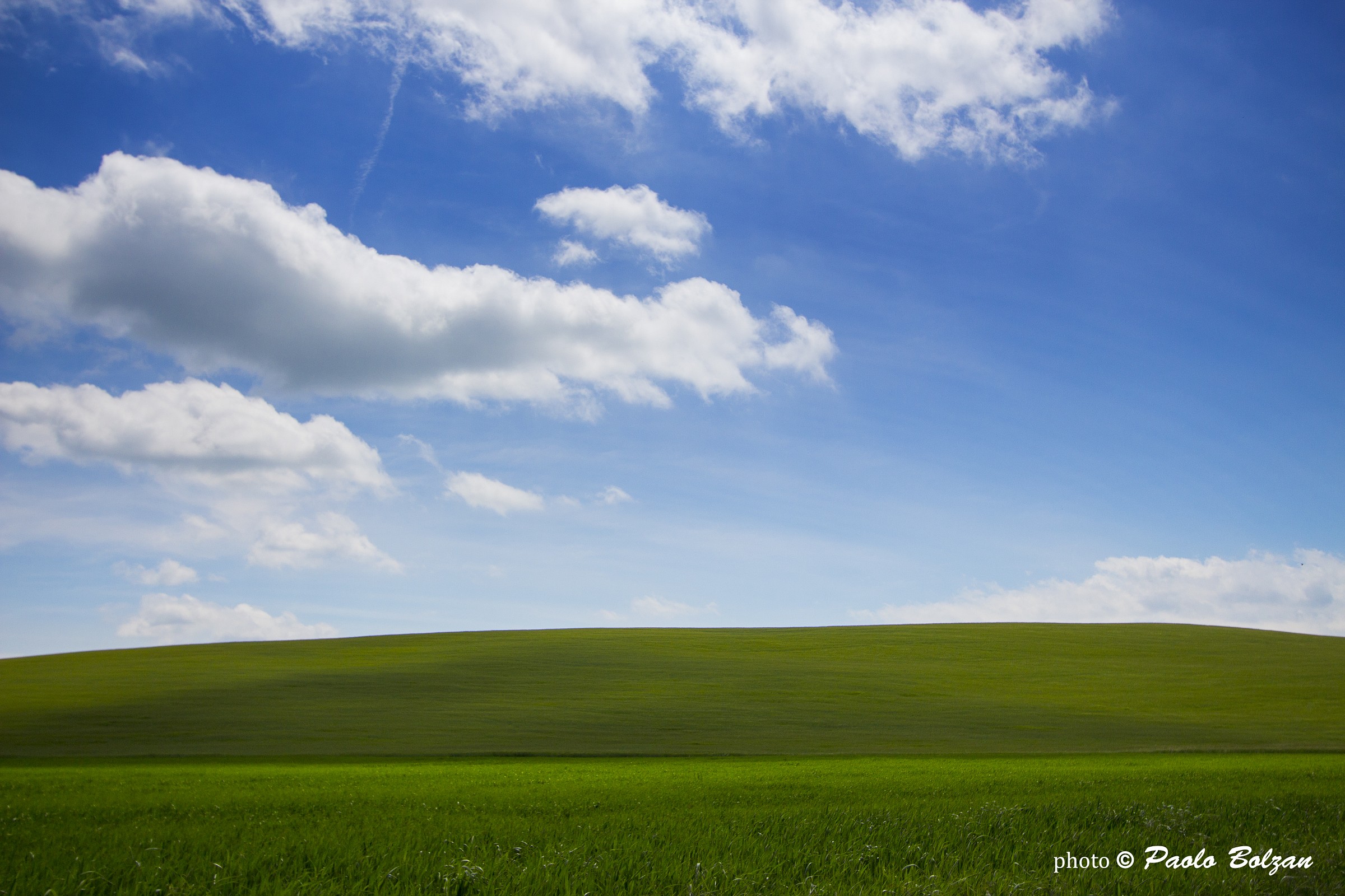 Velluto in Val D'Orcia