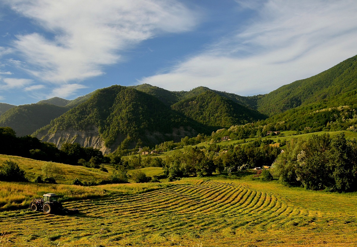 Silenzio il fieno riposa