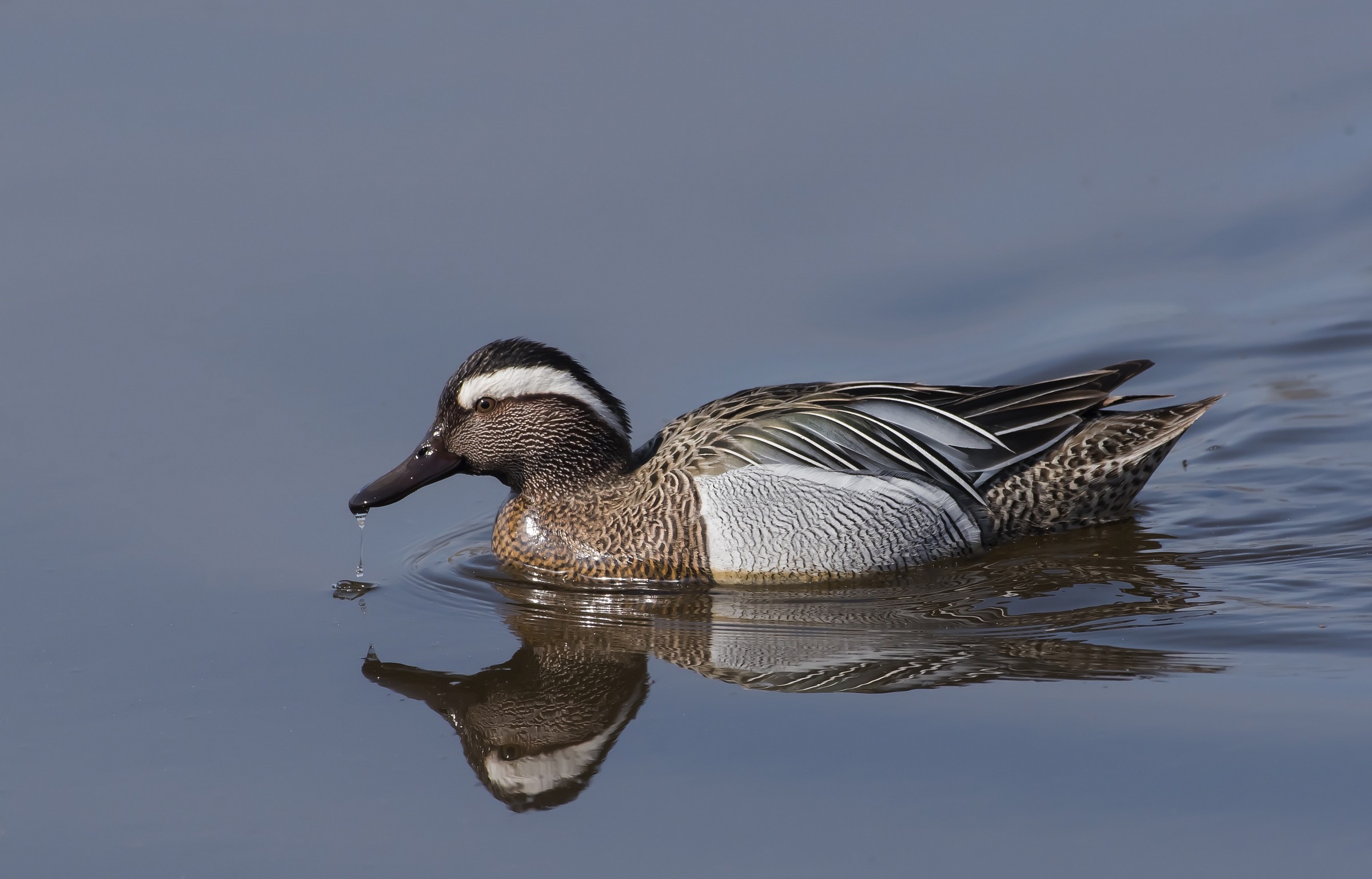 Stessa foto elaborata con consigli di un tutor
