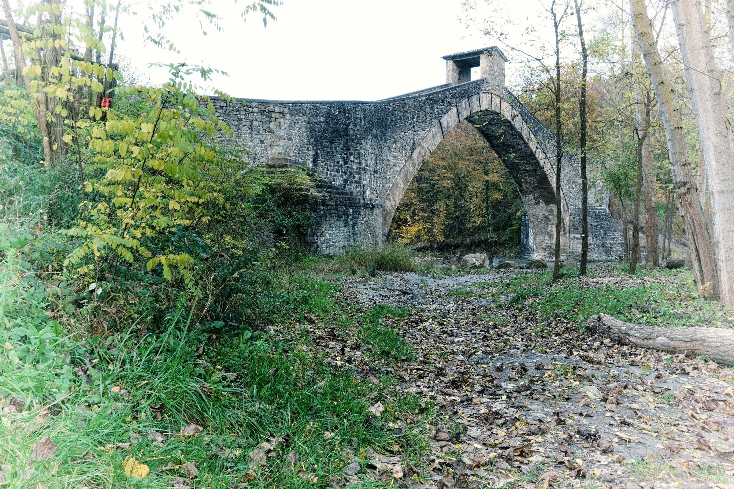 Ponte di Olina
