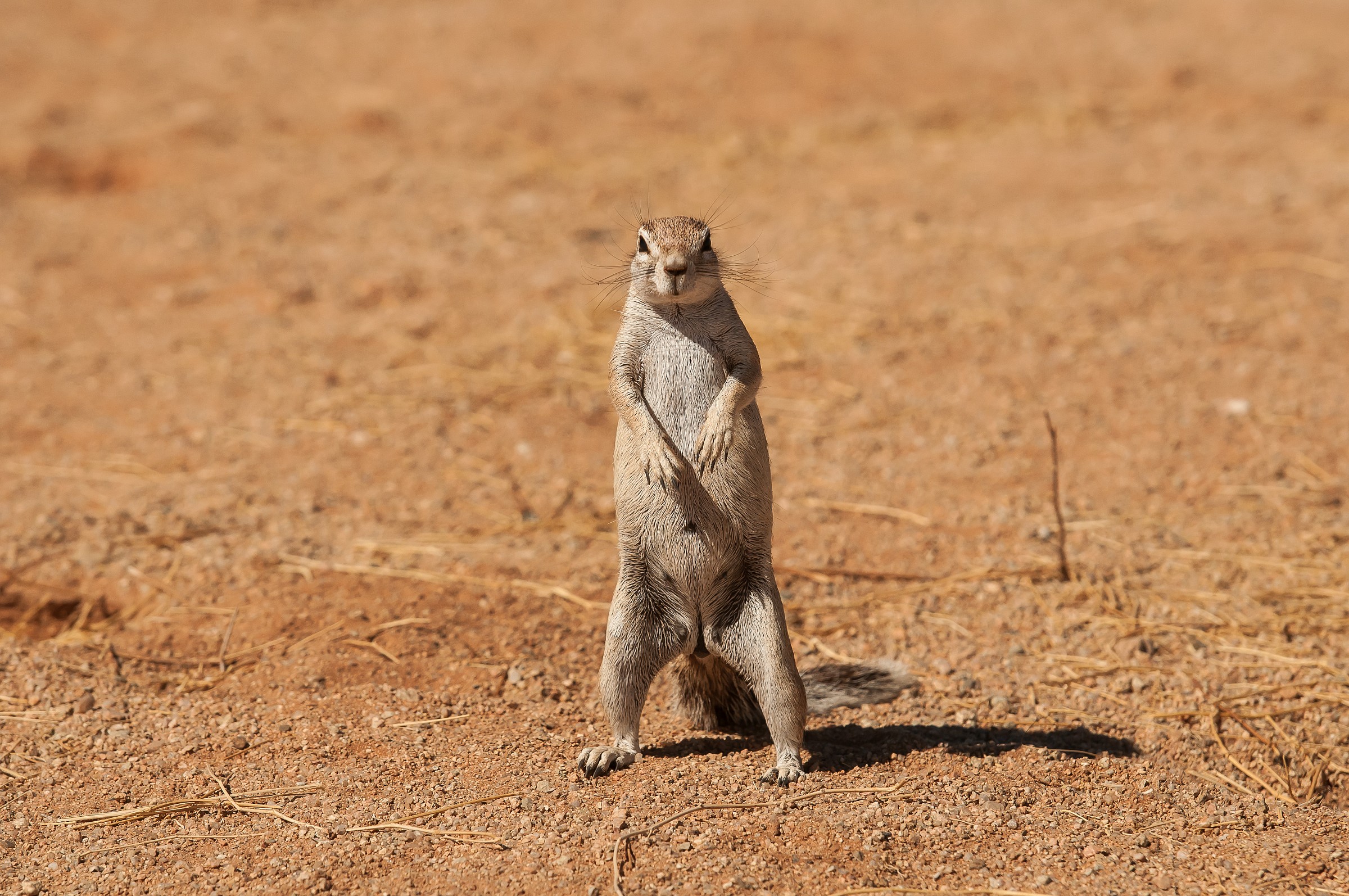 AAAAAAAAttenti ... !!!!!