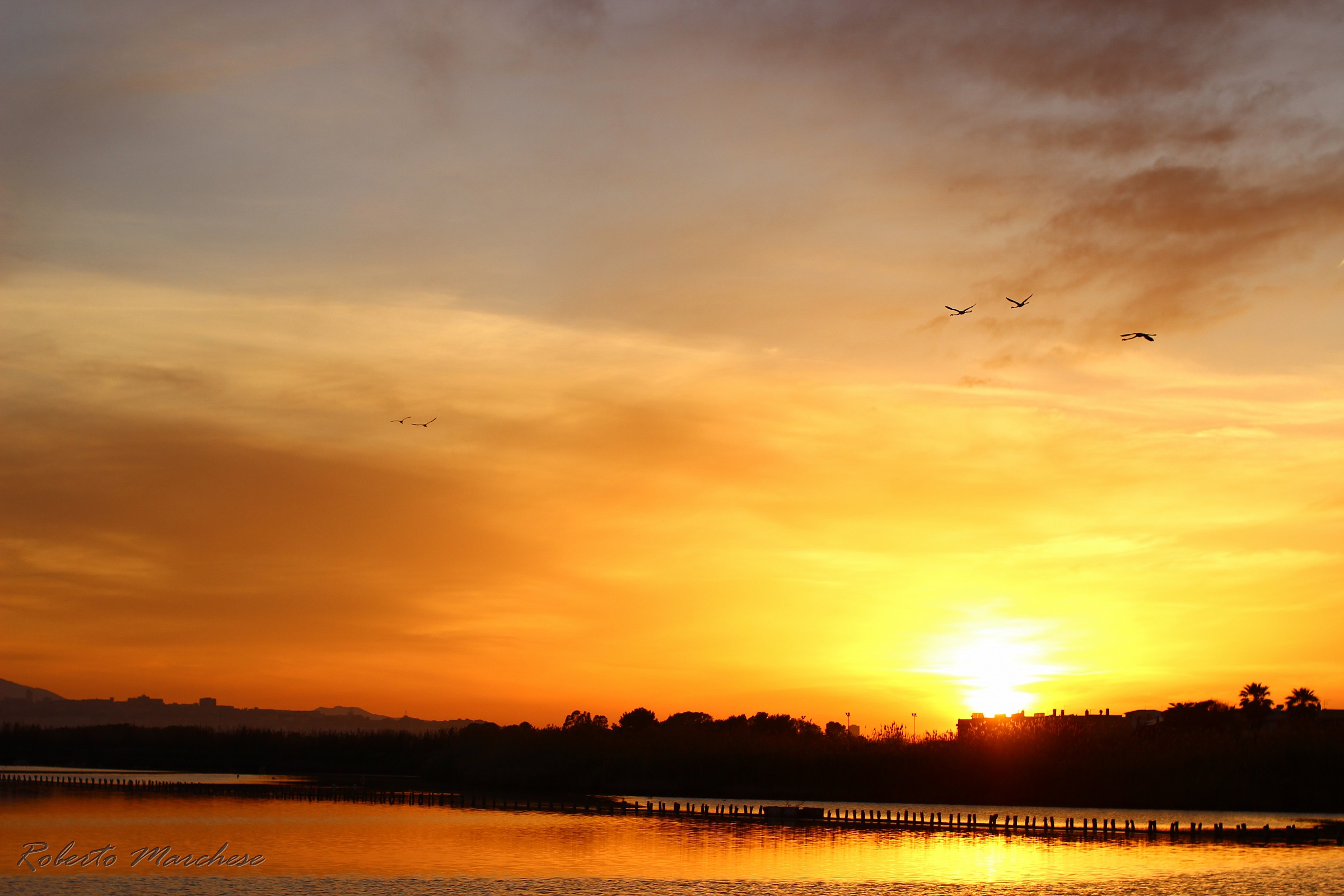 Tramonto su Molentargius