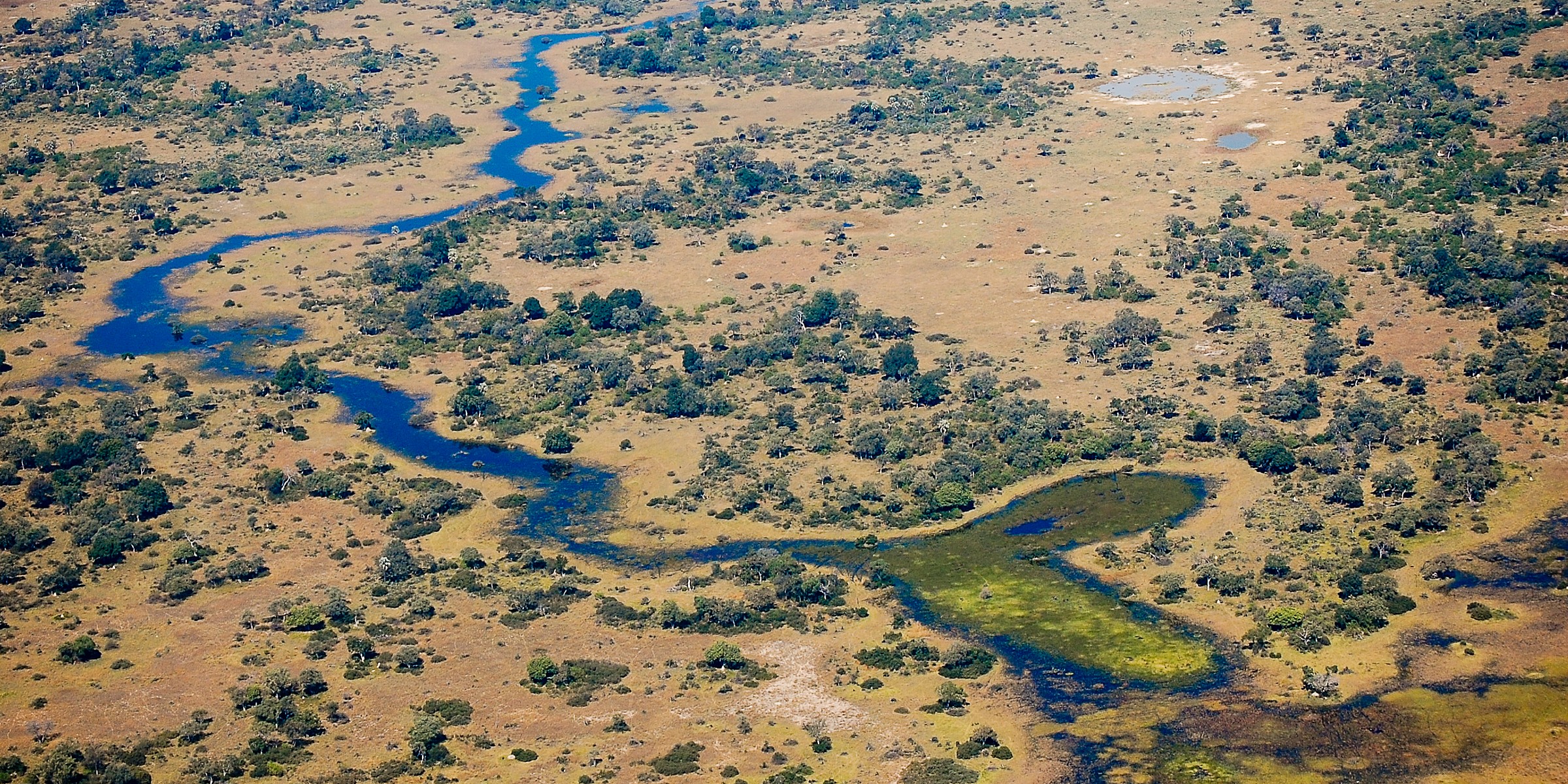 The heart of Africa (Okavango Delta)