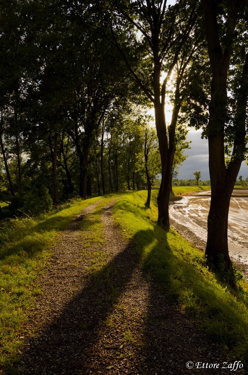 La magia degli argini