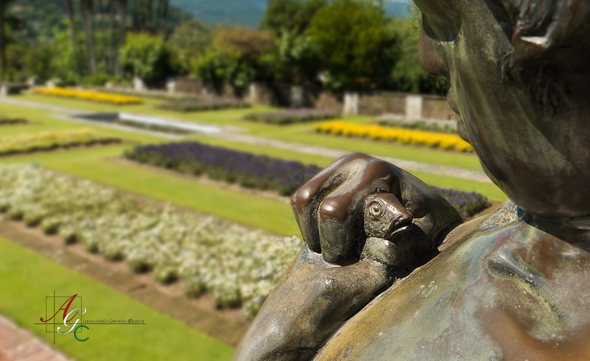 Il pescatore e il pesce