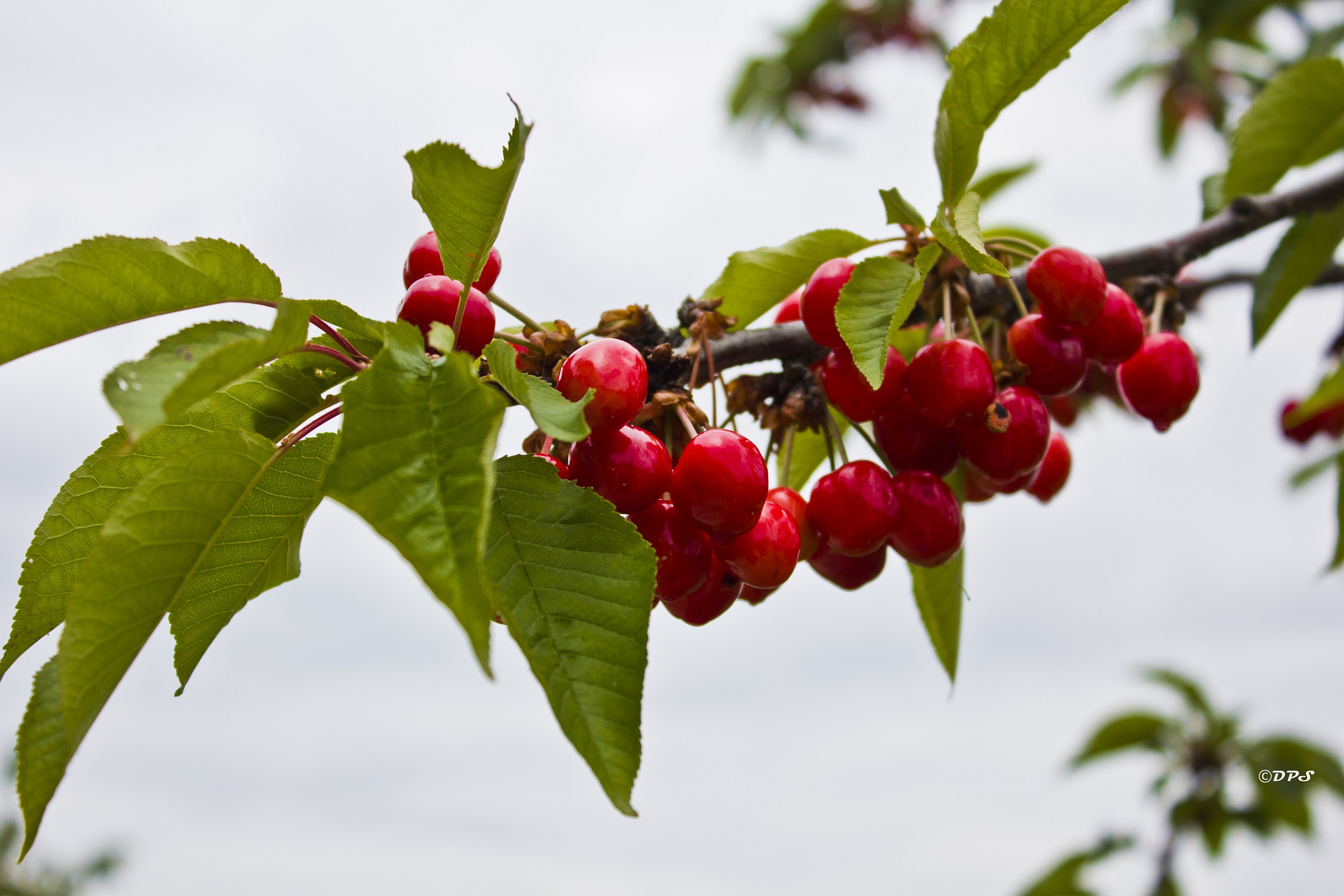 One leads to another